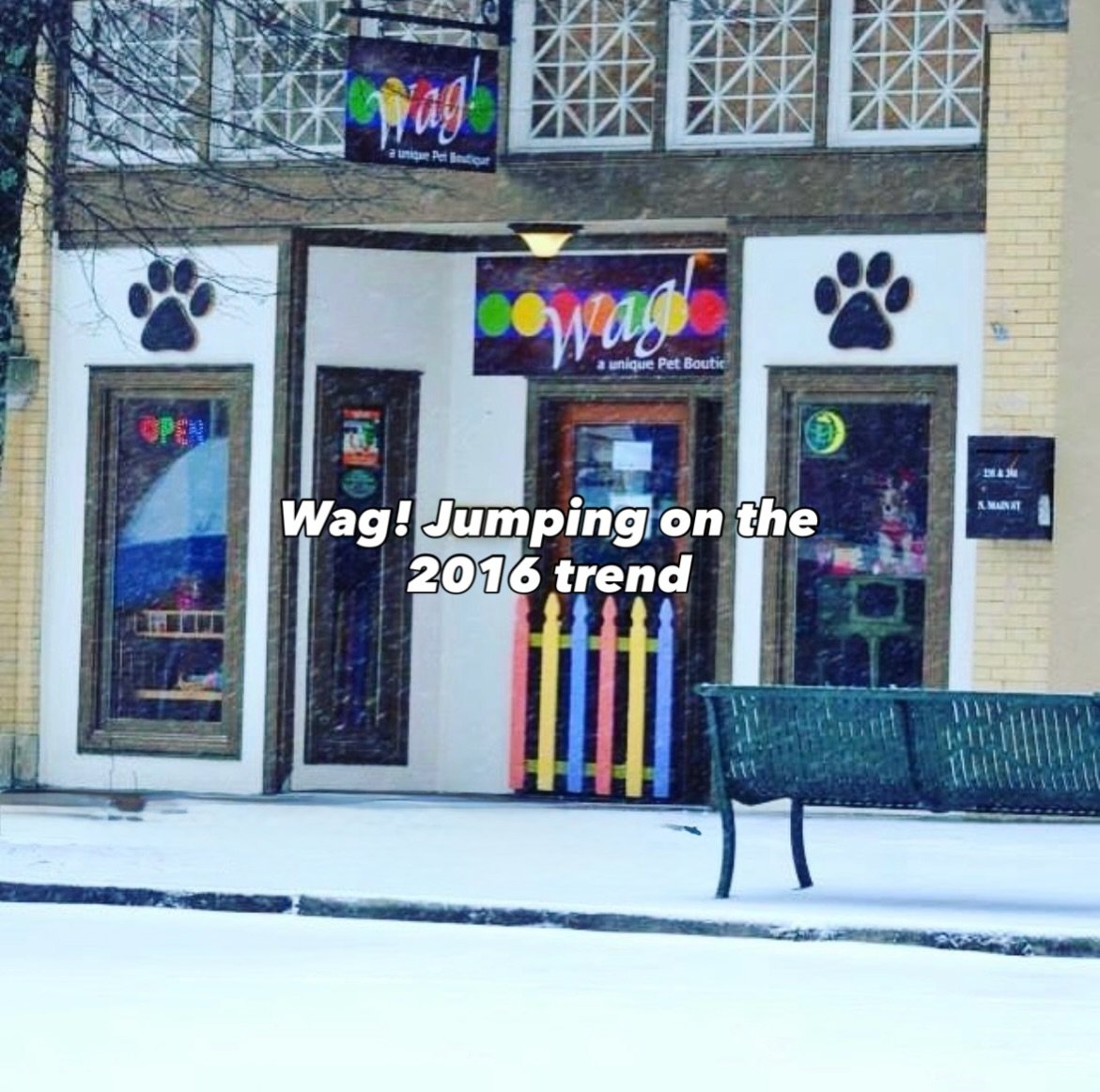 We had to hop on the 2016 trend. Did you visit Wag back then?🦴