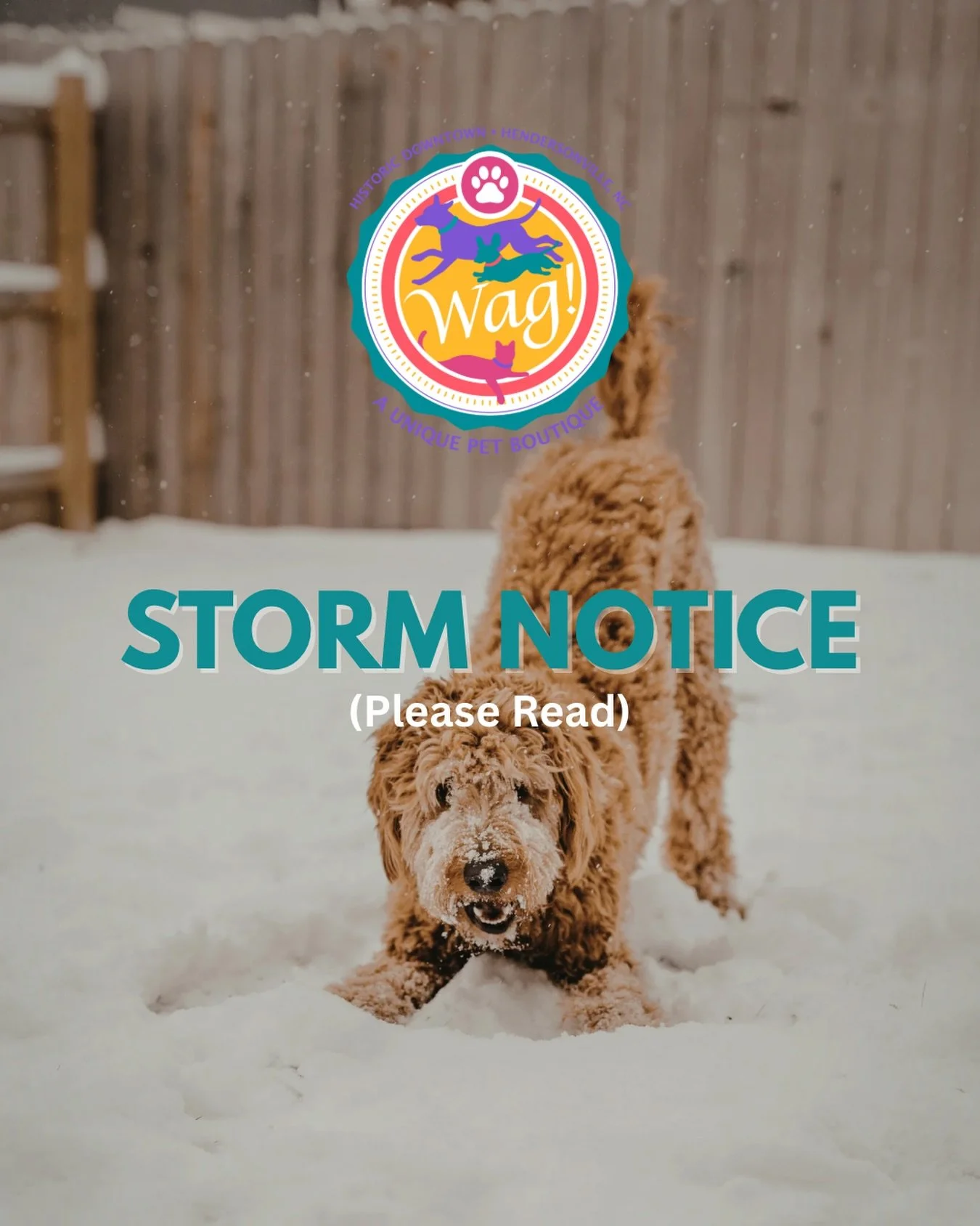 Well, I guess it&rsquo;s time to prepare for another storm!⛄️
With the unpredictable weather, we encourage all our customers to come in today (Friday, 1/30) to get all necessities.

It&rsquo;s likely we will be closed Saturday, and possibly Sunday as