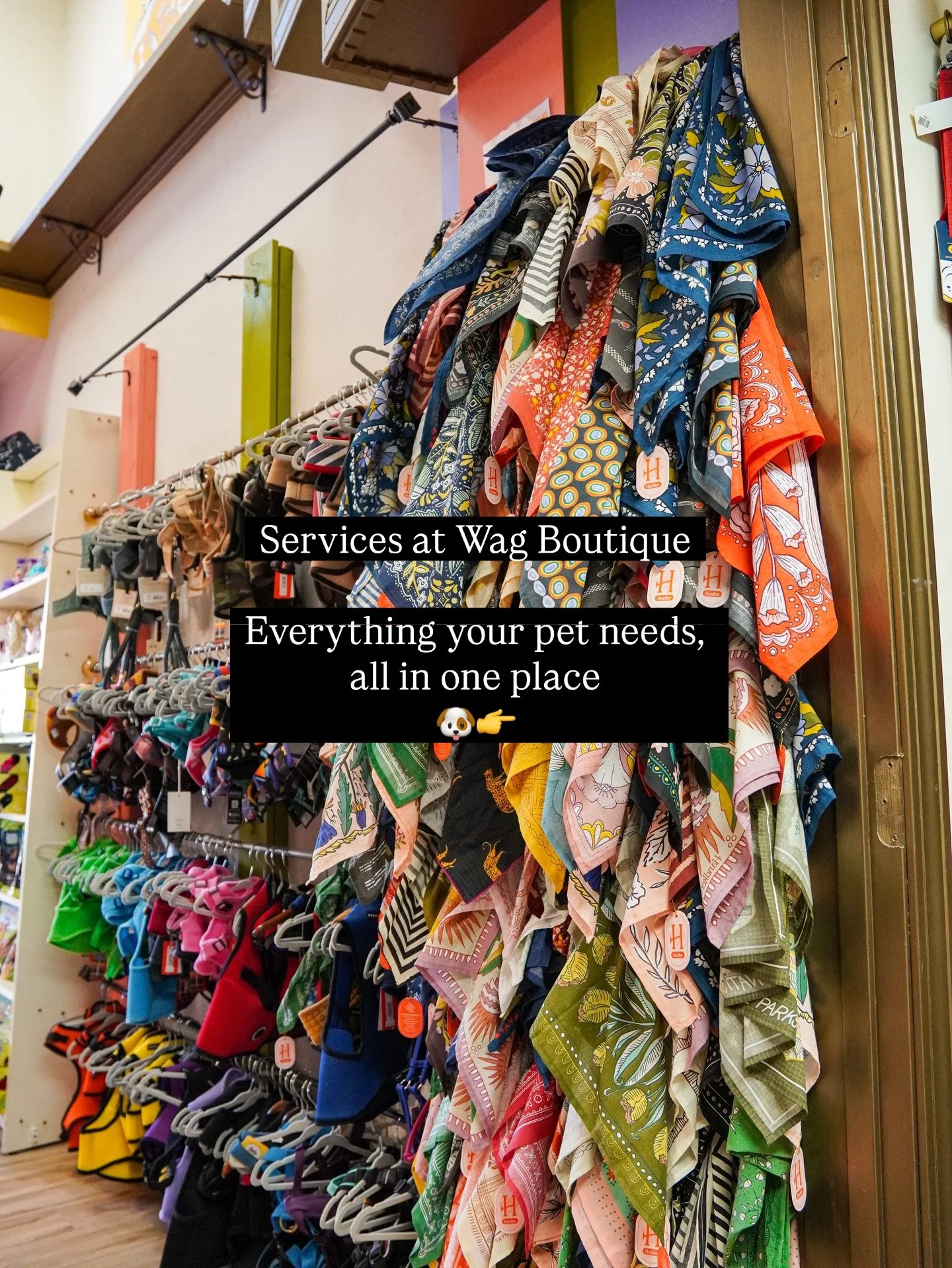 Tailored services designed around you and your pet&rsquo;s needs🐱🐶