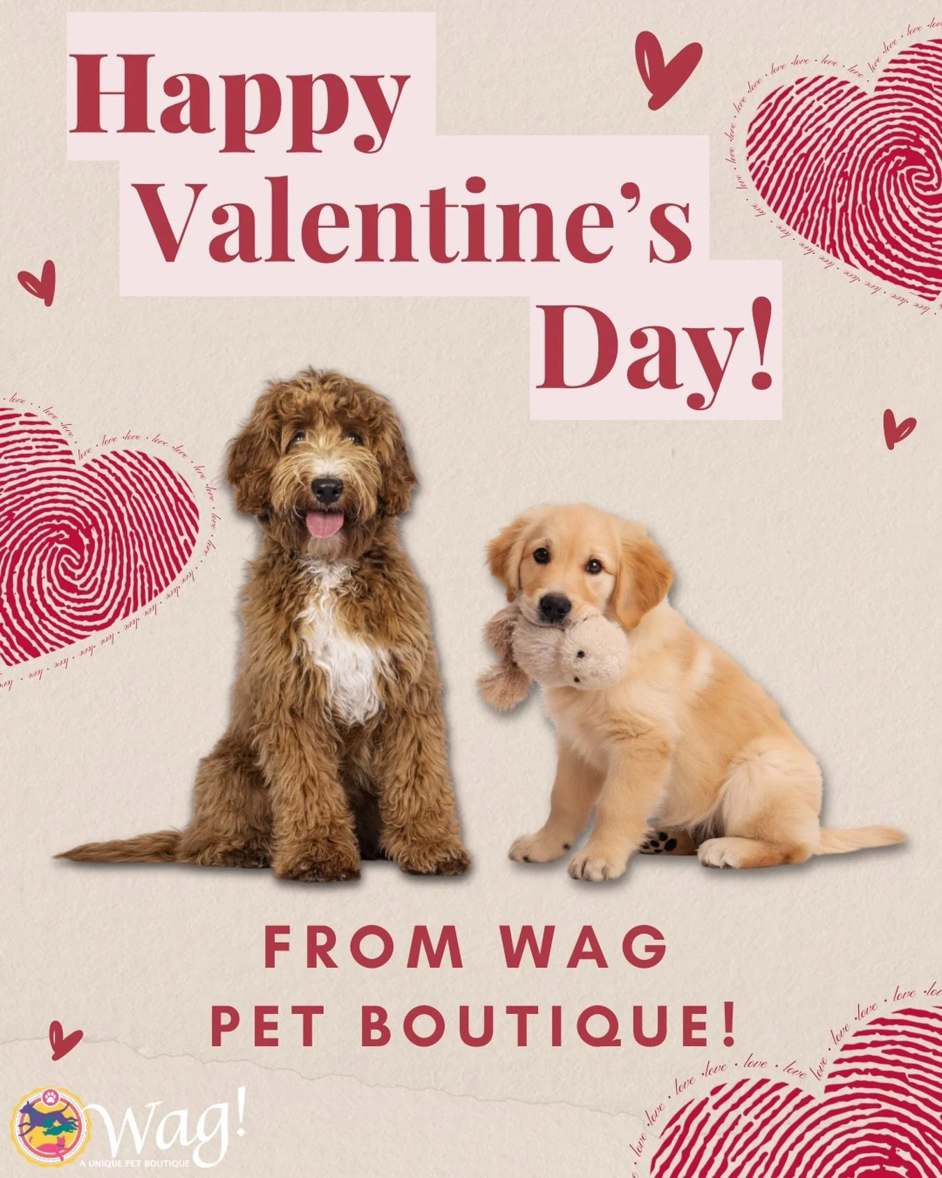 Our pets are the true Valentines in our lives, with partners a close second. Wishing you all a day filled with love and warmth.💗