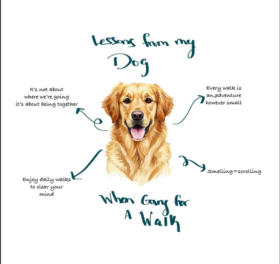 Our animals teach us some of the best lessons. Watch closely.📝

#petsofinstagram #tipsandtricks #hendersonvillenc #animallove s