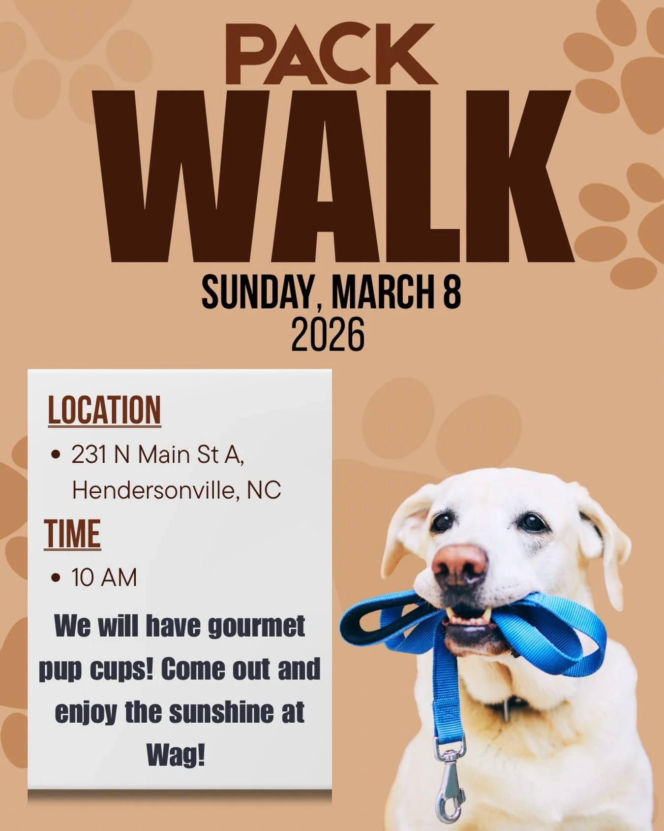 Join us tomorrow, March 8th, for a community Pack Walk! 🐾

Bring your pet and join our group as we walk through downtown Hendersonville. It&rsquo;s a great way to meet new friends, connect with fellow pet lovers, and spend time in our amazing commun
