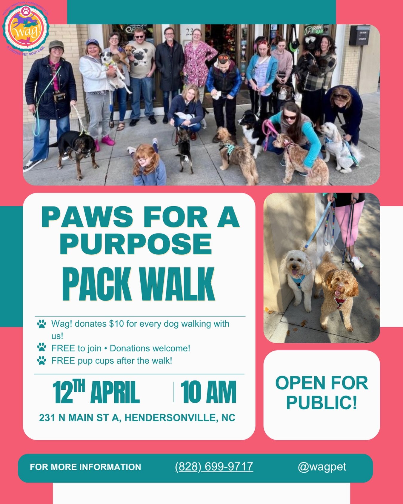 See you at 10 am! Bring your friends, your family, and your pets! Let&rsquo;s raise some money for pets in need 🐶🐰🐹