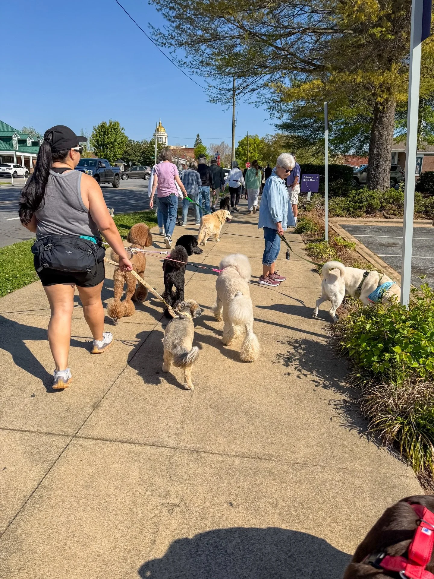 All we can say is WOW! Our community freakin&rsquo; rocks! 👏

We are so extremely happy to announce that this Paws With Purpose Pack Walk broke records, with around 80 participants. With the perfect weather and great energy, we are pleased to announ