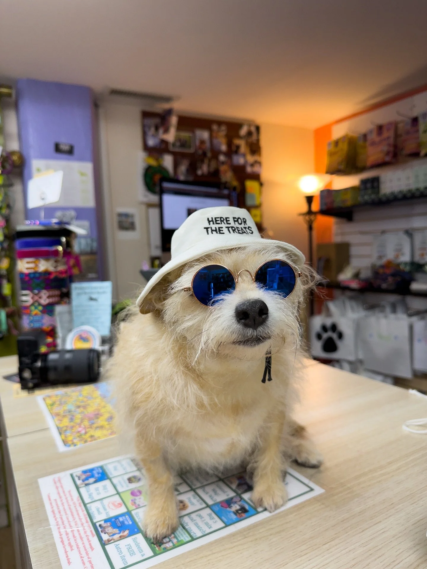 Happy Friday, ya filthy animal!🎉 #tgif