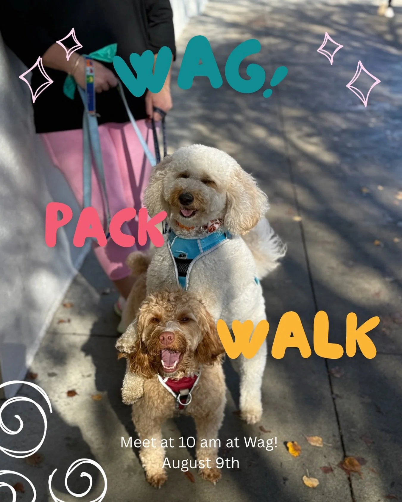 Our next Pack Walk is this Sunday, August 9th! Grab your friends and your pups, and let&rsquo;s get walking. Everyone is welcome!