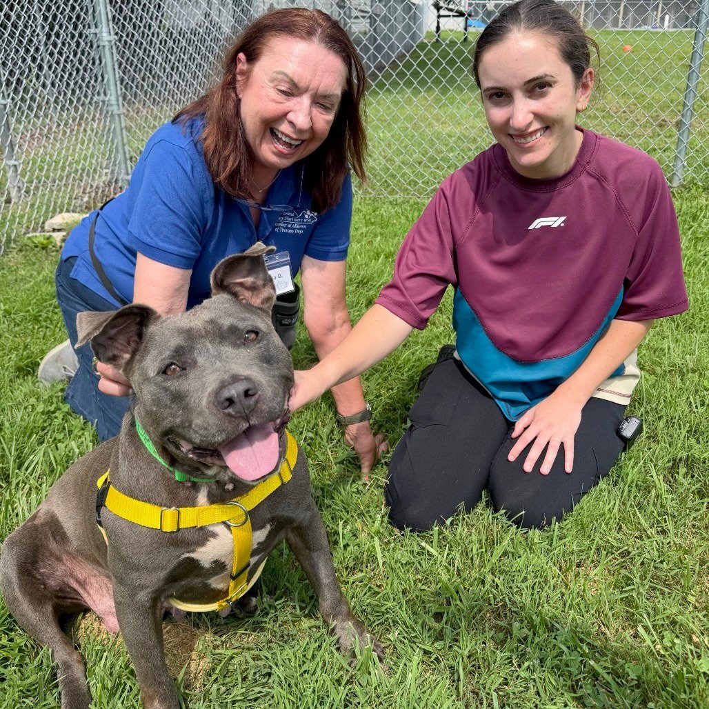 Calling our amazing animal-loving community! 🐾 Please read and share!

Our friends at @blueridgehumanesociety and Henderson County Animal Services are nearing capacity. When shelters are full, it becomes incredibly difficult for them to help the nex