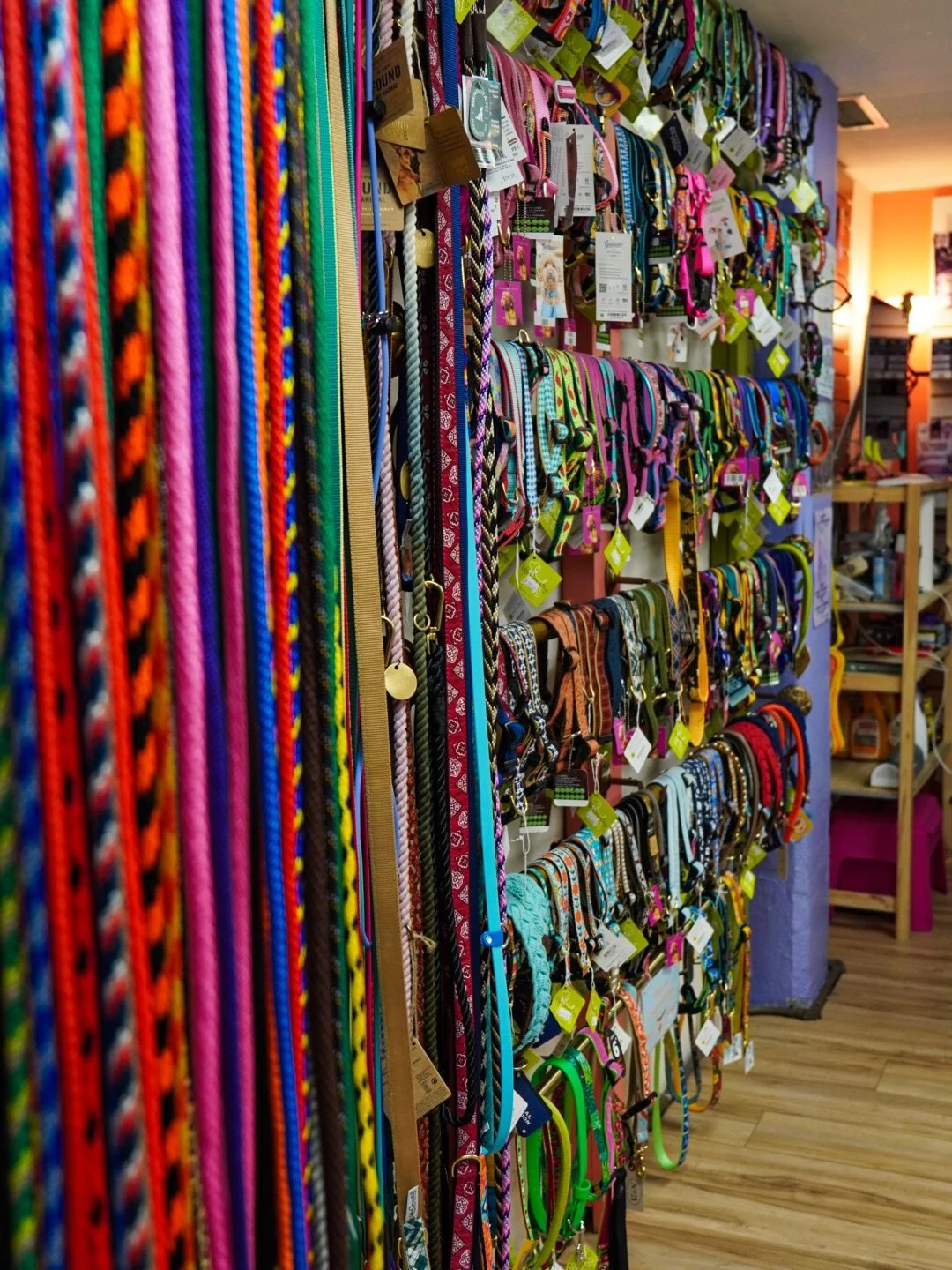 It&rsquo;s all about the accessories 💅✨

From collars and harnesses to leashes, tags, bandanas, and more, we&rsquo;ve got something to match every pet&rsquo;s style. With tons of colors, patterns, and designs to choose from, there are plenty of opti