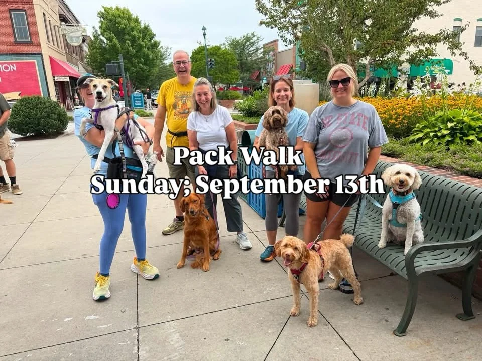 Are we going to see you at our Pack Walk tomorrow morning? 🐾

Every second Sunday of the month, we host our Community Pack Walk! Grab your pup, your friends (and some poop bags 😉), and join us for a 10 AM departure from WAG.

All are welcome! 🐶