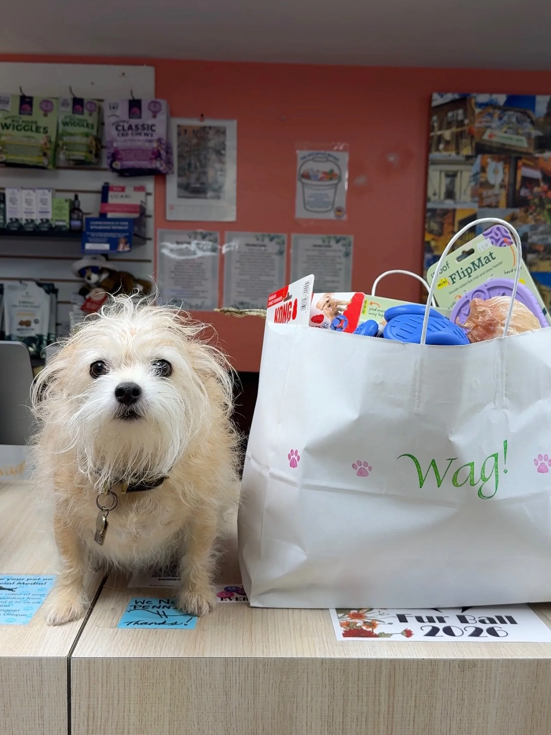 Our Neighborhood Pet Sale is today! Everything that fits in a white bag is 20% off! Stop by and grab your favorites!