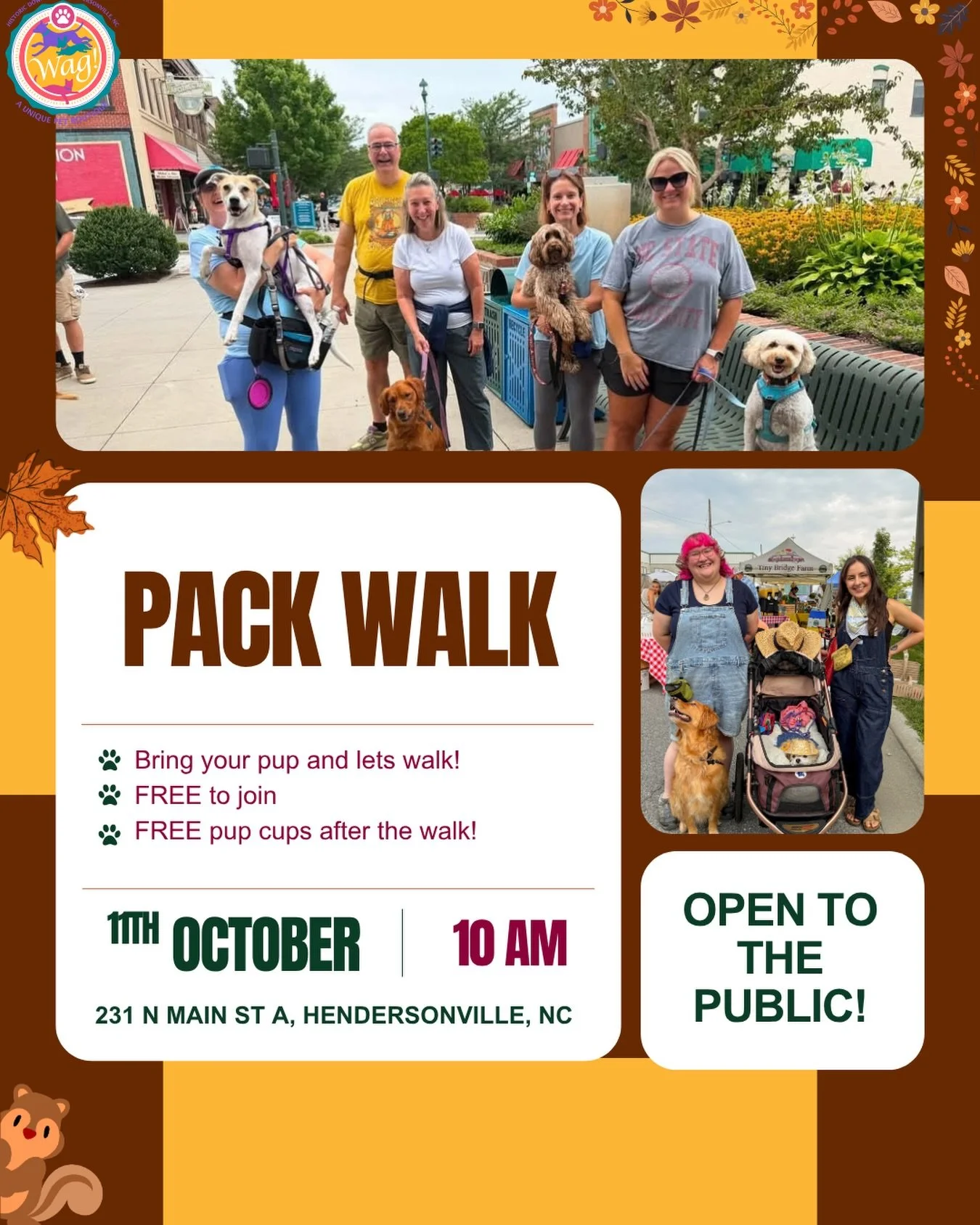 Pack Walk Fall Edition! Our favorite!🐶🐾🍁

Join us Sunday, October 11th at 10 AM for our monthly pack walk!

Downtown is absolutely spectacular right now. The leaves are beginning to change, the fall weather is creeping in, and it&rsquo;s the perfe