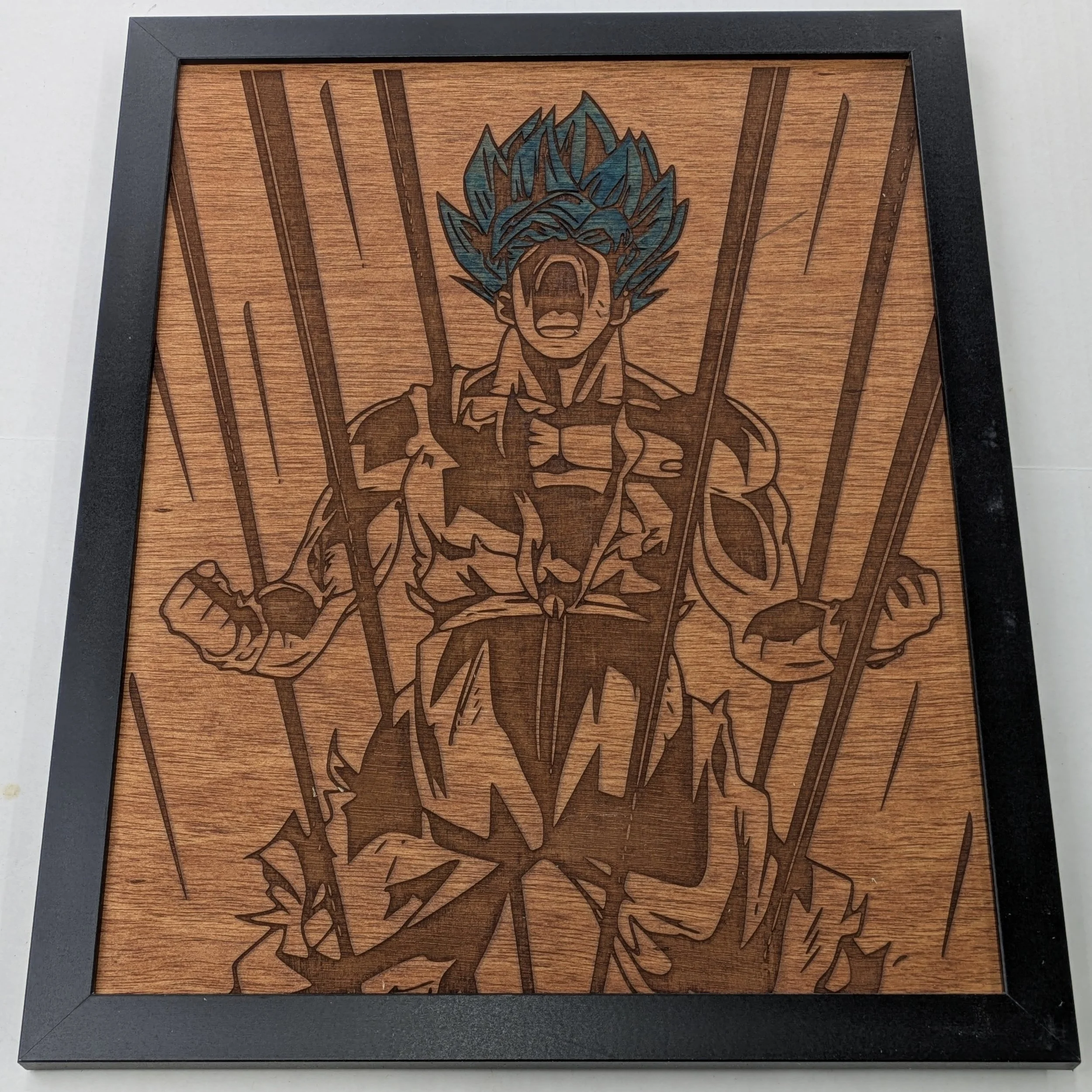 11x14 - BW - DBZ 2.jpg