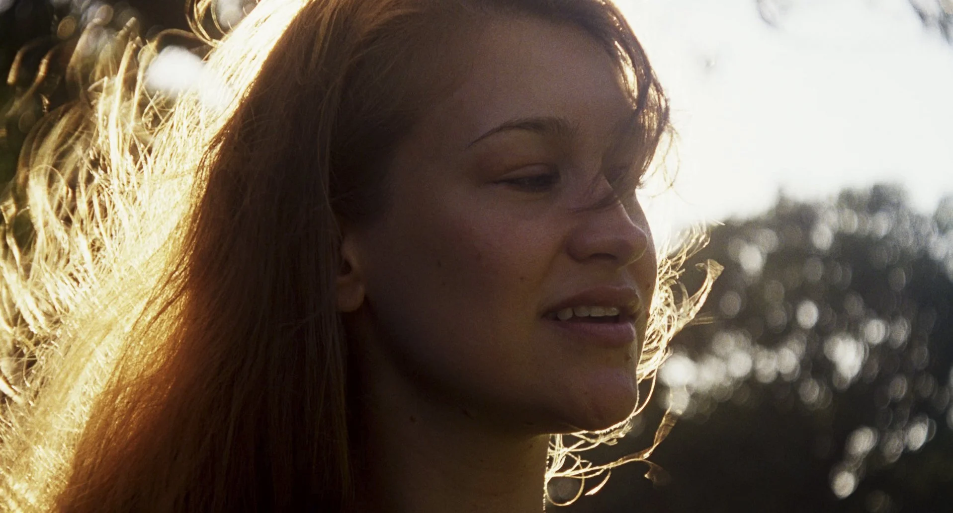 Colors, focus, exposure.jpg