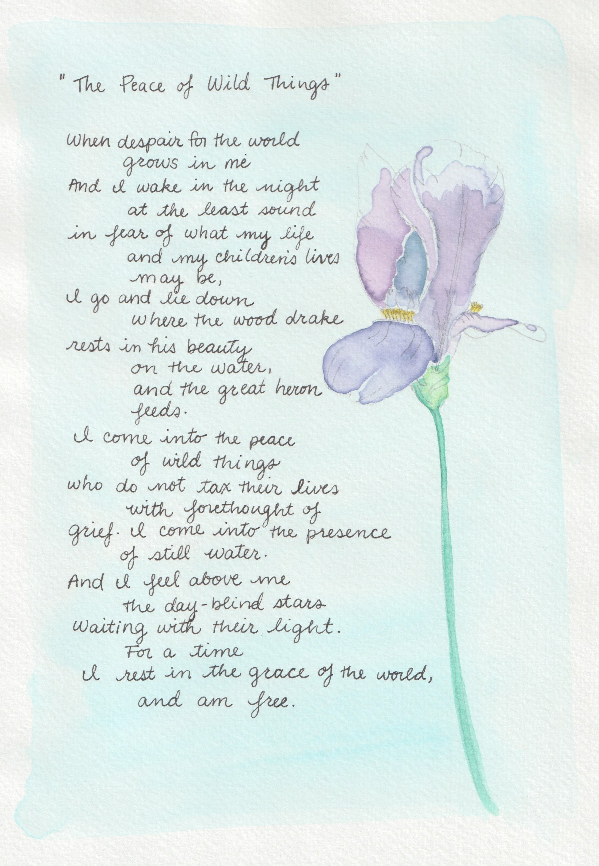 peace_poem.jpeg