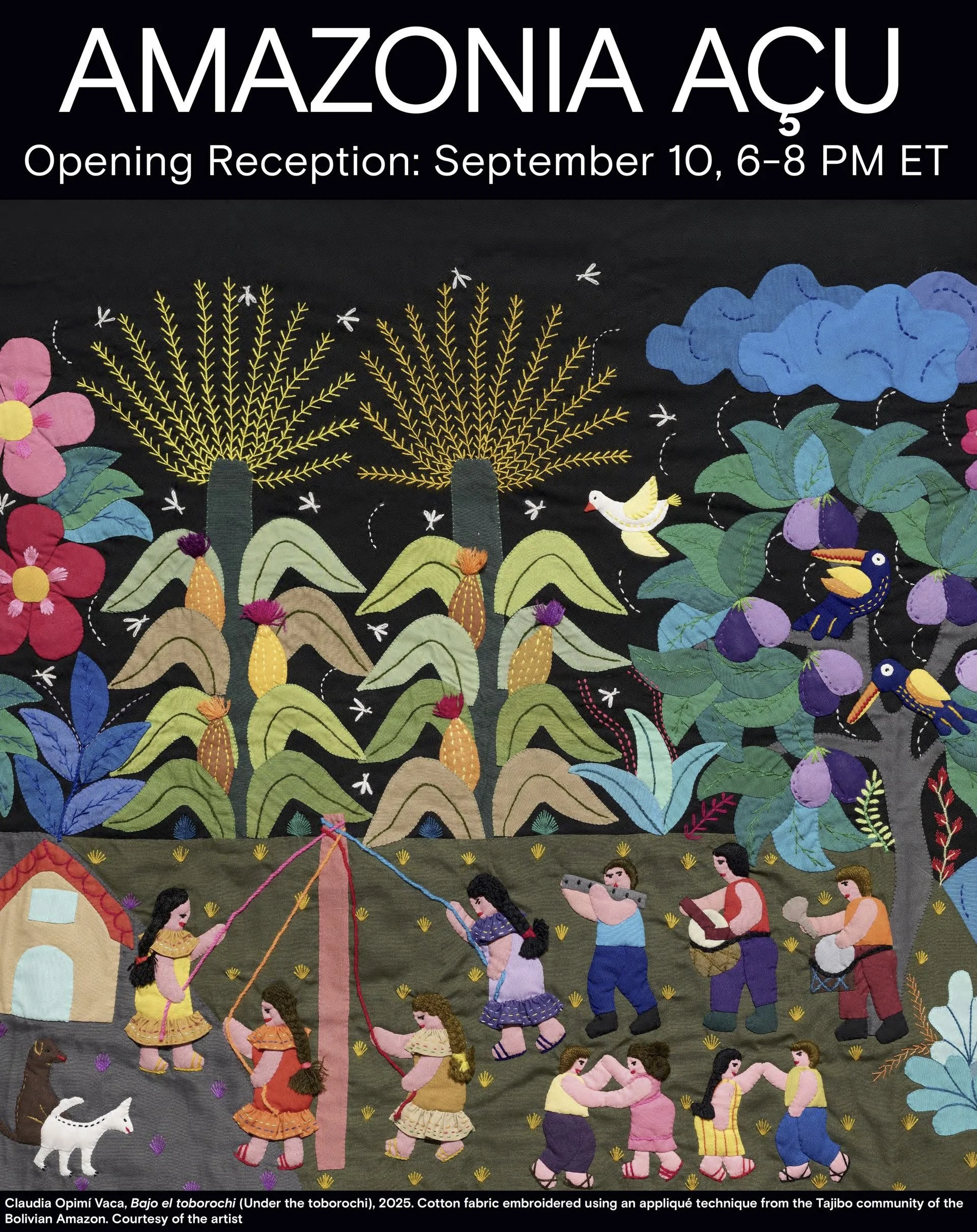 Opening Reception | Amazonia Açu at The Americas Society, New York