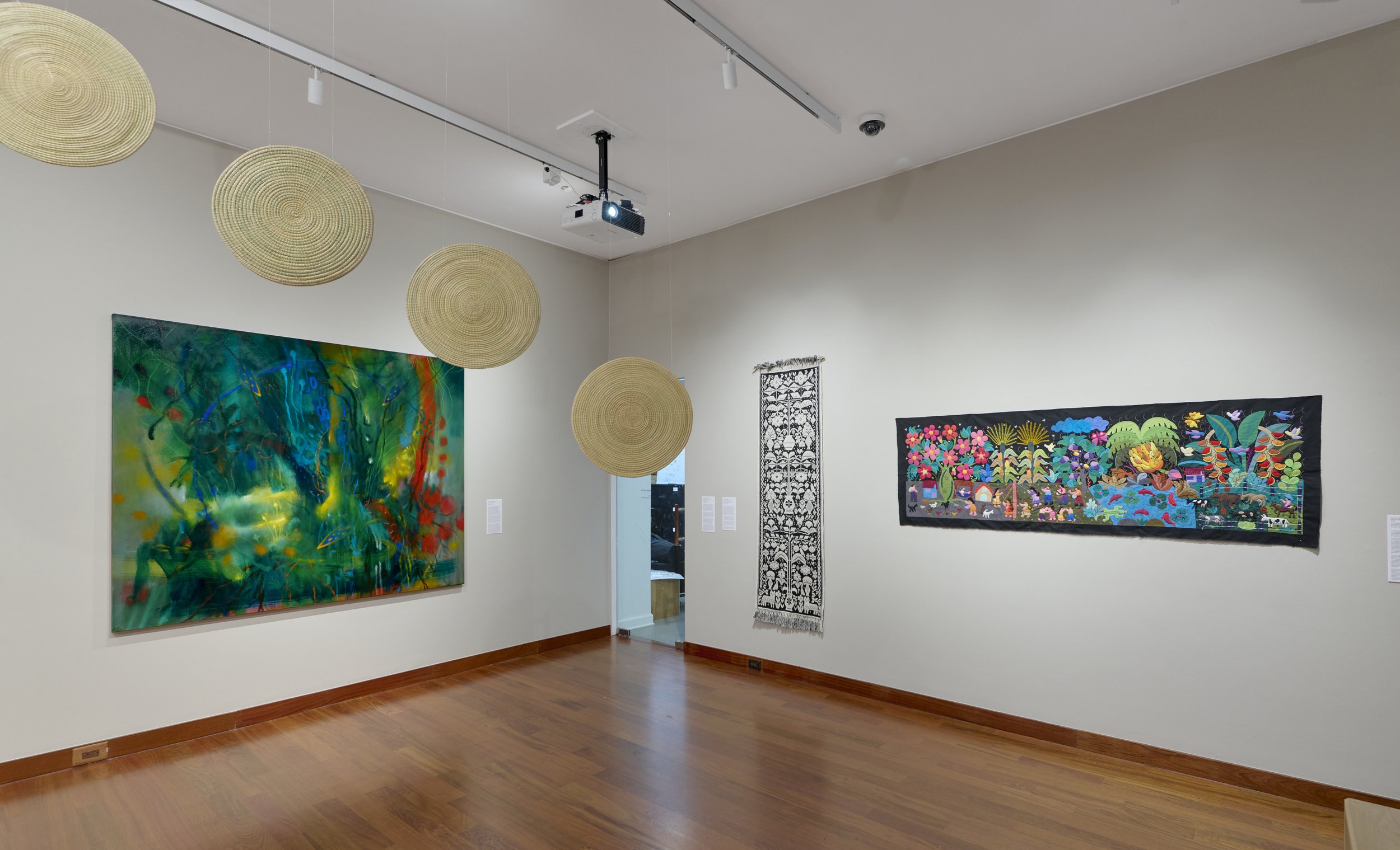 Installation view of Amazonia Açu. Courtesy of Art at Americas Society. Photo by Arturo Sanchez.4.jpg