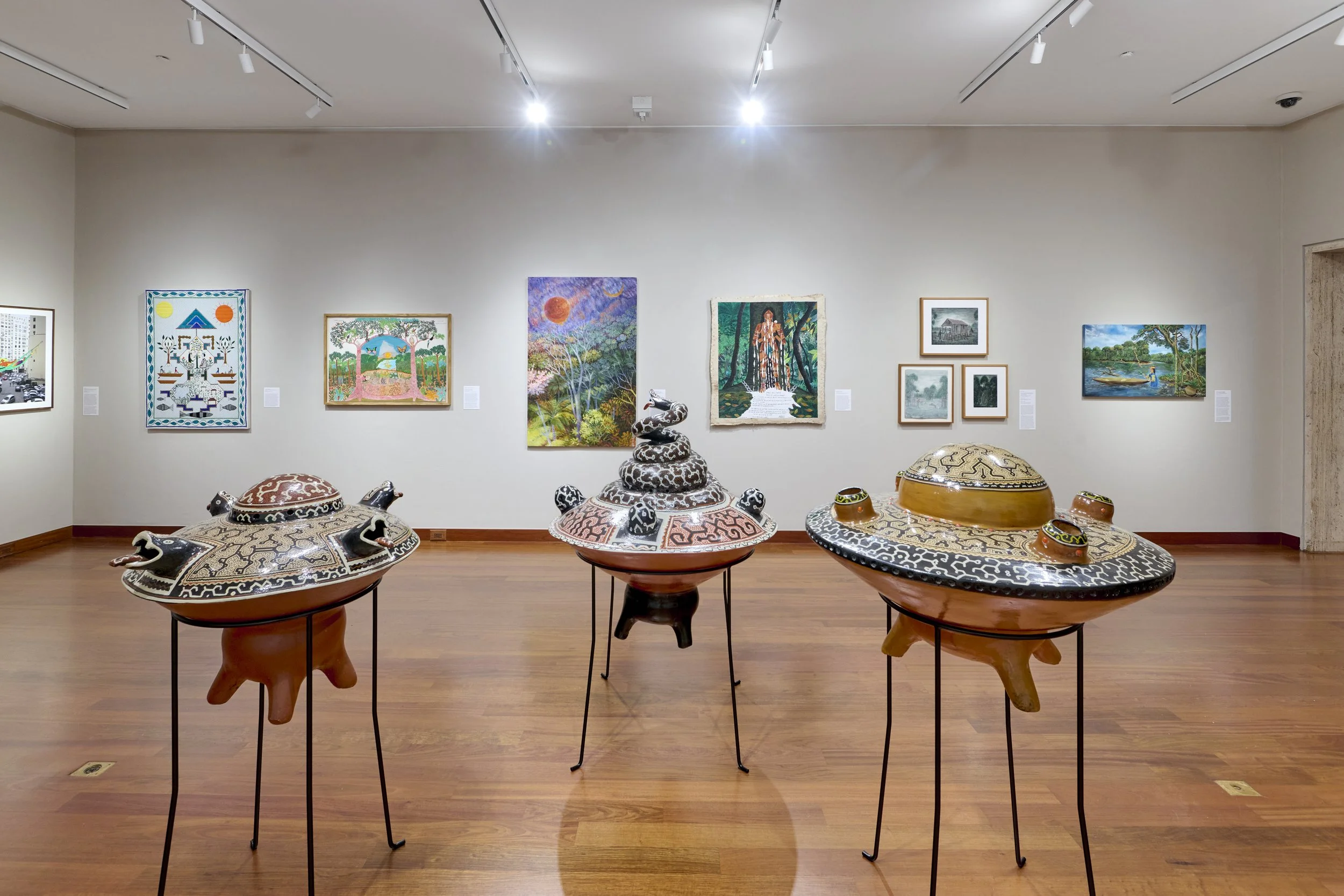 Installation view of Amazonia Açu. Courtesy of Art at Americas Society. Photo by Arturo Sanchez.12.jpg