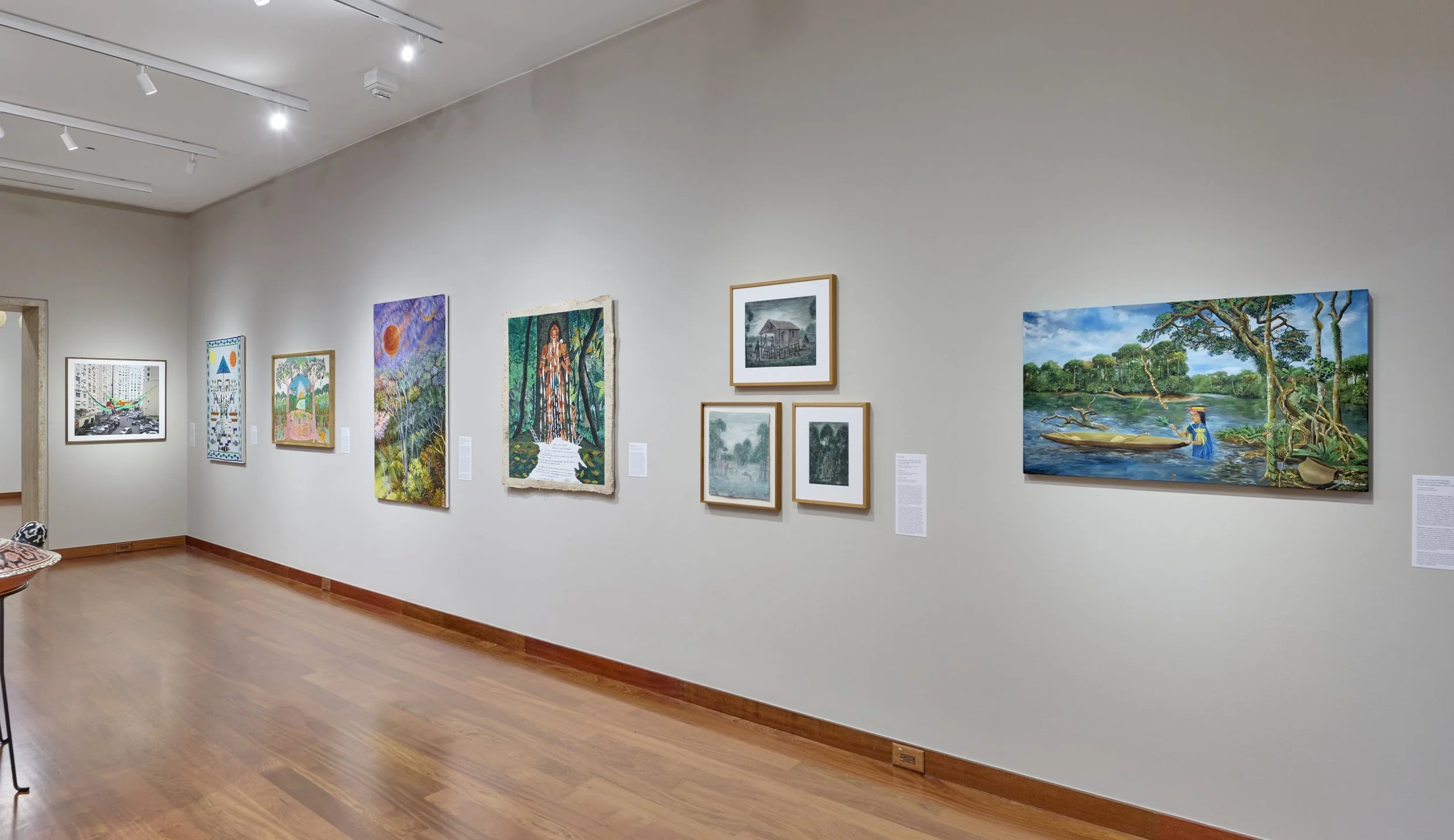 Installation view of Amazonia Açu. Courtesy of Art at Americas Society. Photo by Arturo Sanchez.16.jpg