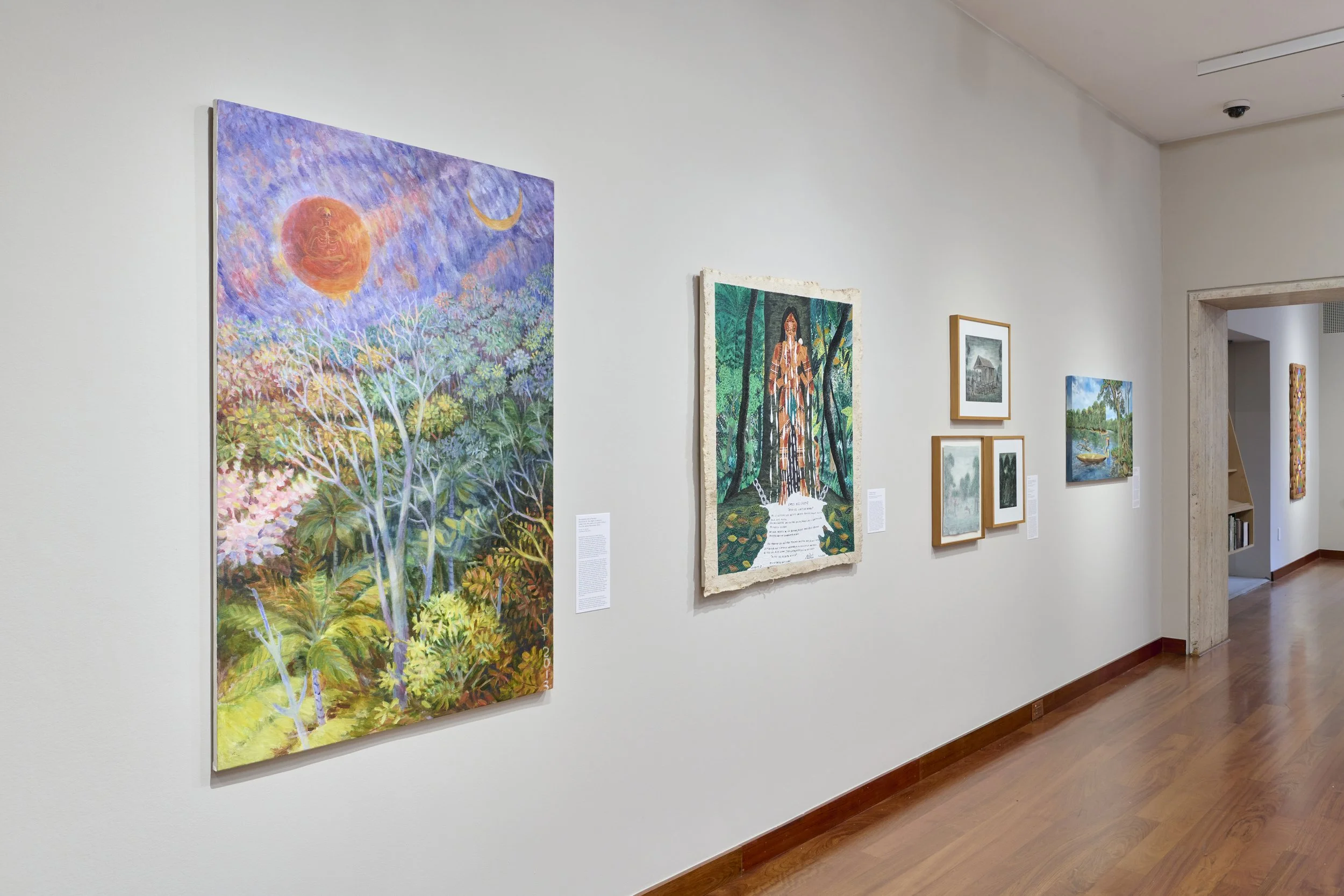 Installation view of Amazonia Açu. Courtesy of Art at Americas Society. Photo by Arturo Sanchez.34.jpg