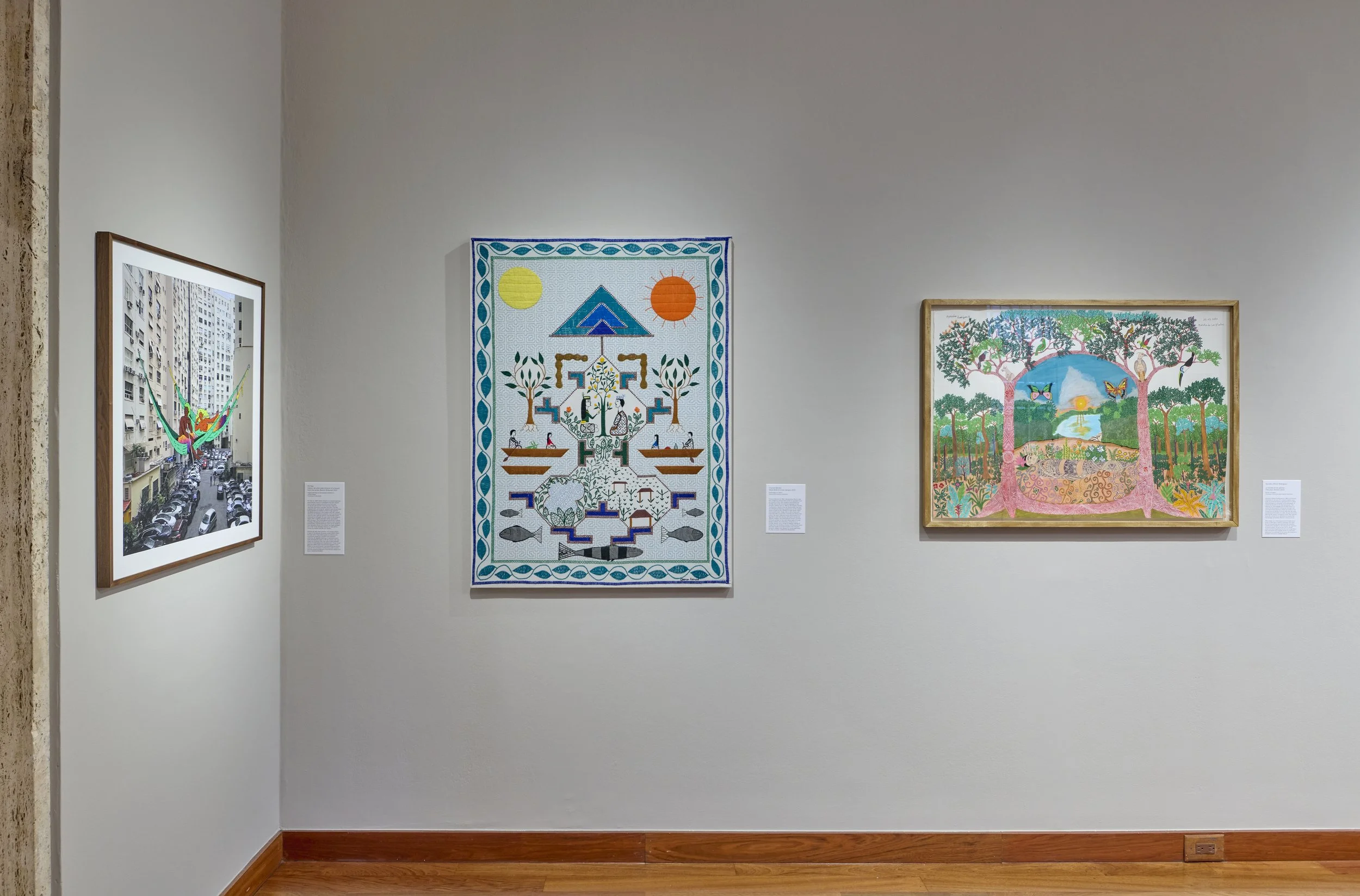 Installation view of Amazonia Açu. Courtesy of Art at Americas Society. Photo by Arturo Sanchez.37.jpg