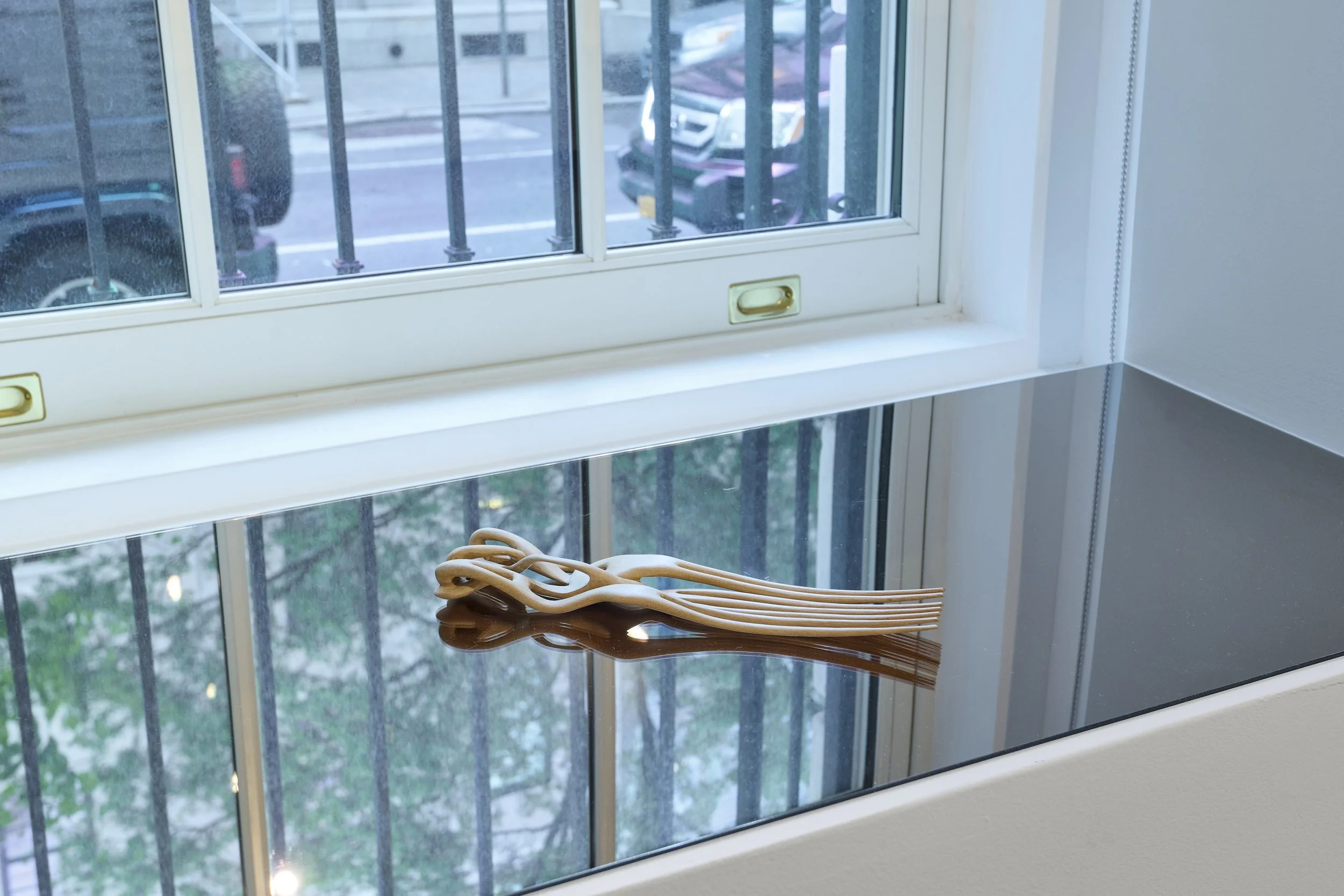 Installation view of Amazonia Açu. Courtesy of Art at Americas Society. Photo by Arturo Sanchez.31.jpg