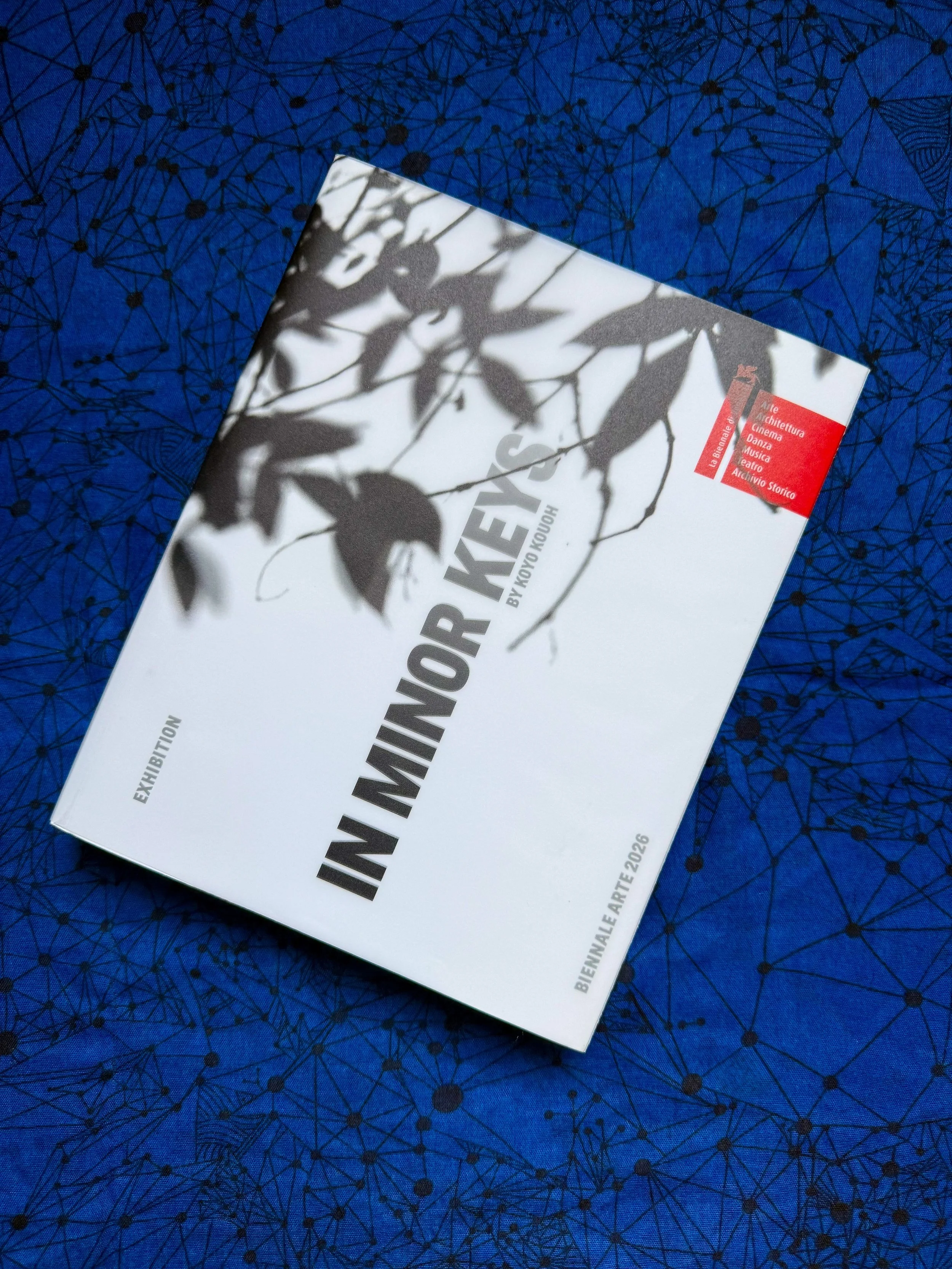 Beside this ensemble of artists at the Venice Biennale @labiennale is a chorus of writers &mdash; luminous voices shaping the world we live in through language, through poetry, through critical scholarship. To be among them, whose work I so deeply ad