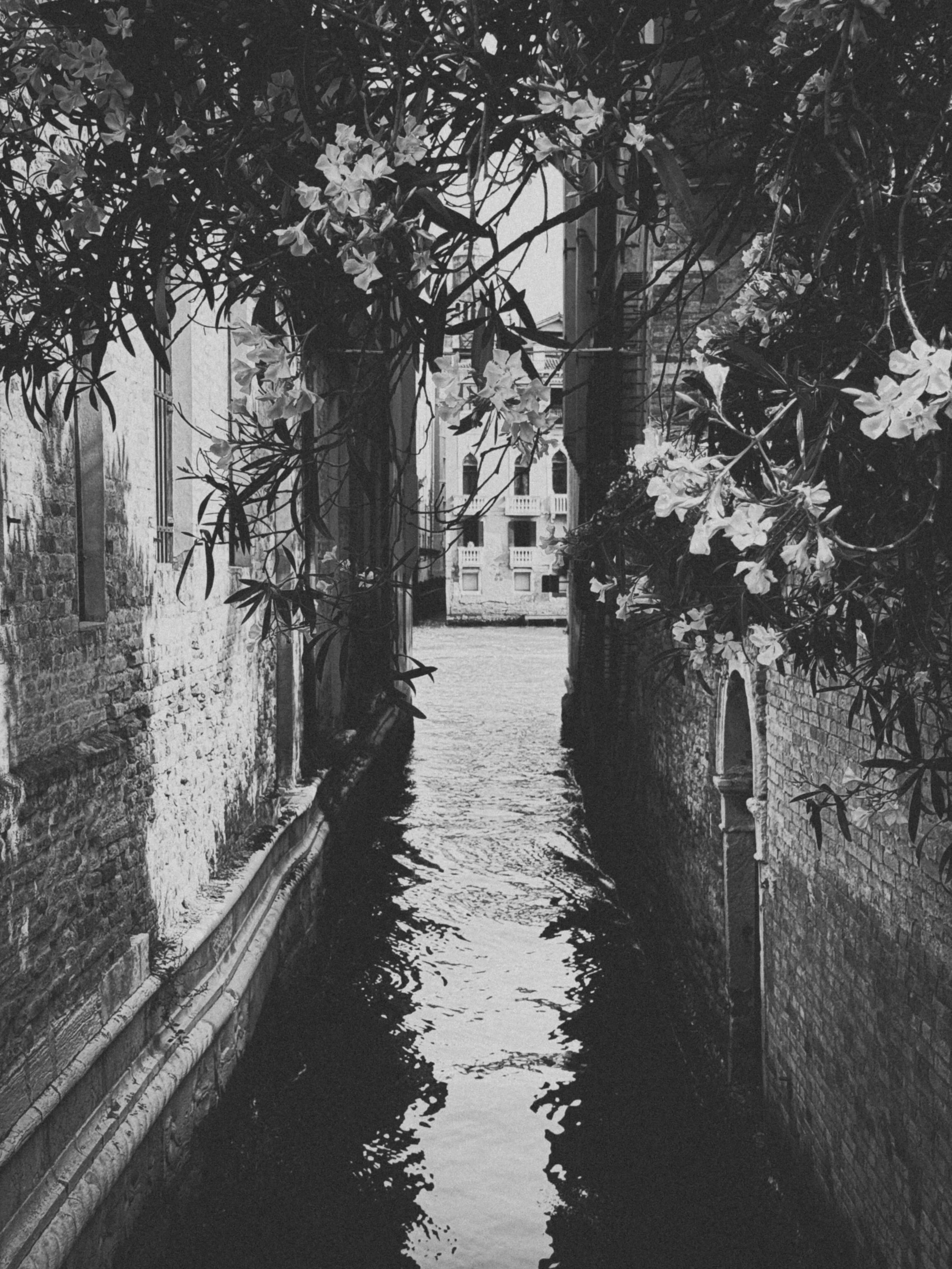 From my early morning walks &mdash; my daily quiet ritual before the city wakes. The hour Venice keeps for itself.⁣
⁣
&ldquo;I myself try to listen to the colours of Venice in the same way that I listen to its stones, or its sky&hellip;&rdquo;⁣ &mdas