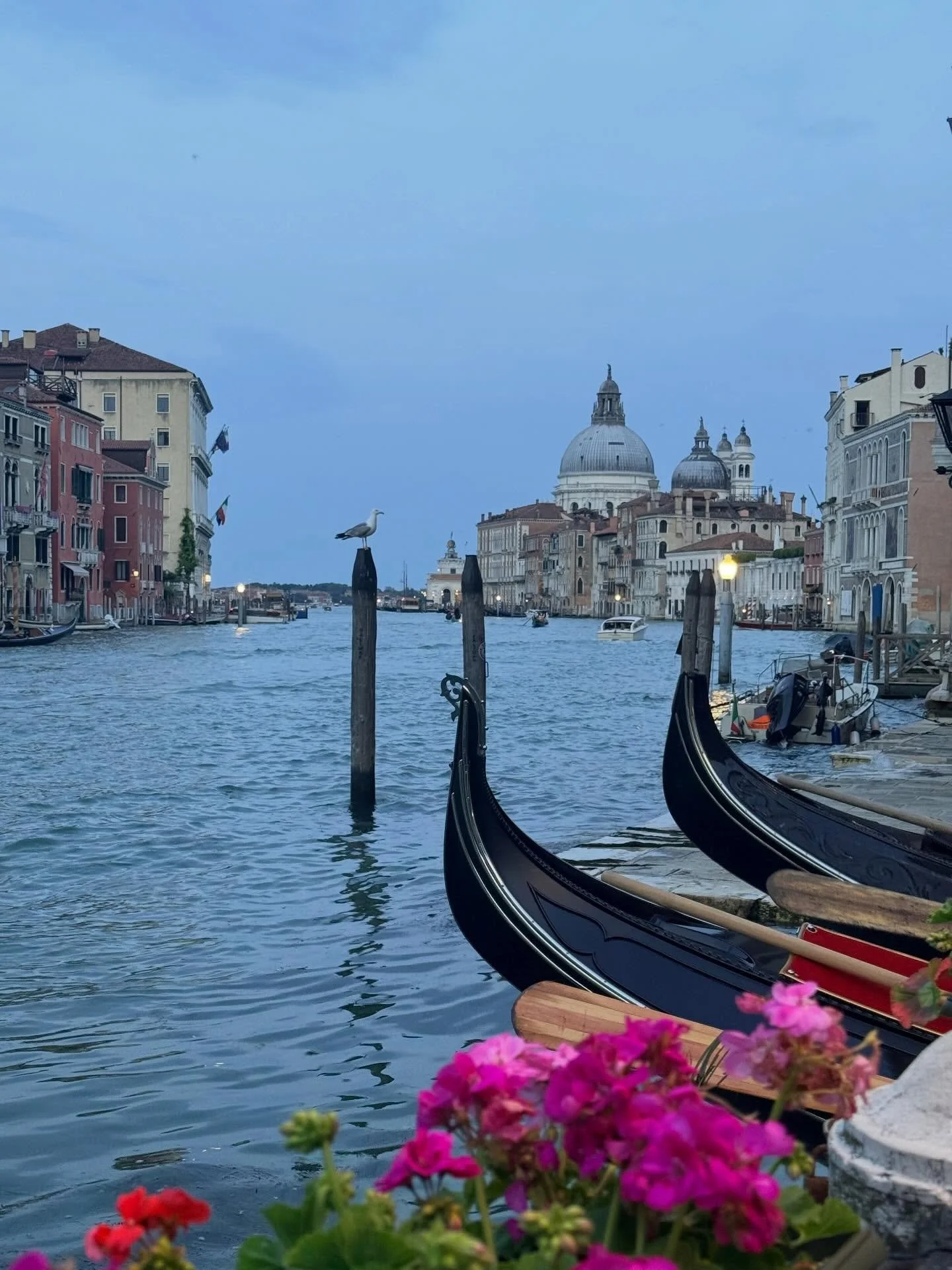 and my spring to summer in Venice begins.