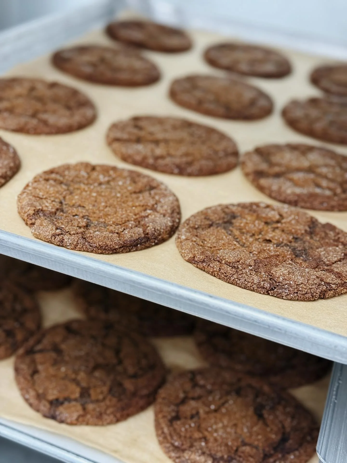 If you&rsquo;re a cookie lover listen up!🍪 GINGERSNAP and SNICKERDOODLE both just made their way onto the flavor menu!

If there was ever a time for lots of cookies, it&rsquo;s this season! These two Limited Edition Seasonals just finally came back 
