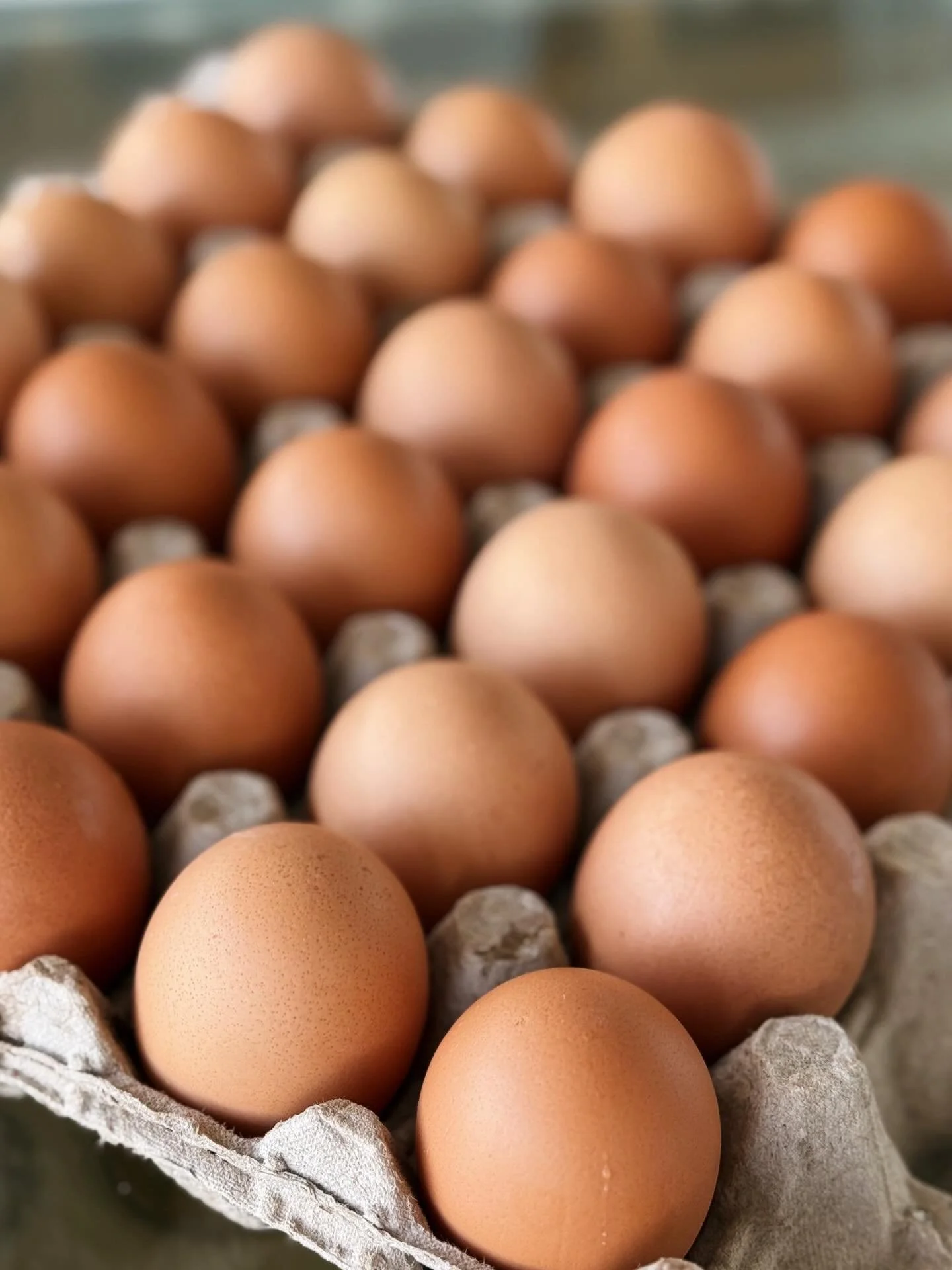 Thrilled to announce that we are now sourcing our pasture-raised eggs from Doublegate Family Farm in Flatonia, TX!!

@doublegatefamilyfarm is a family-run chicken farm. Their pasture-raised hen live on 40 acres of land, foraging in a new spot every d