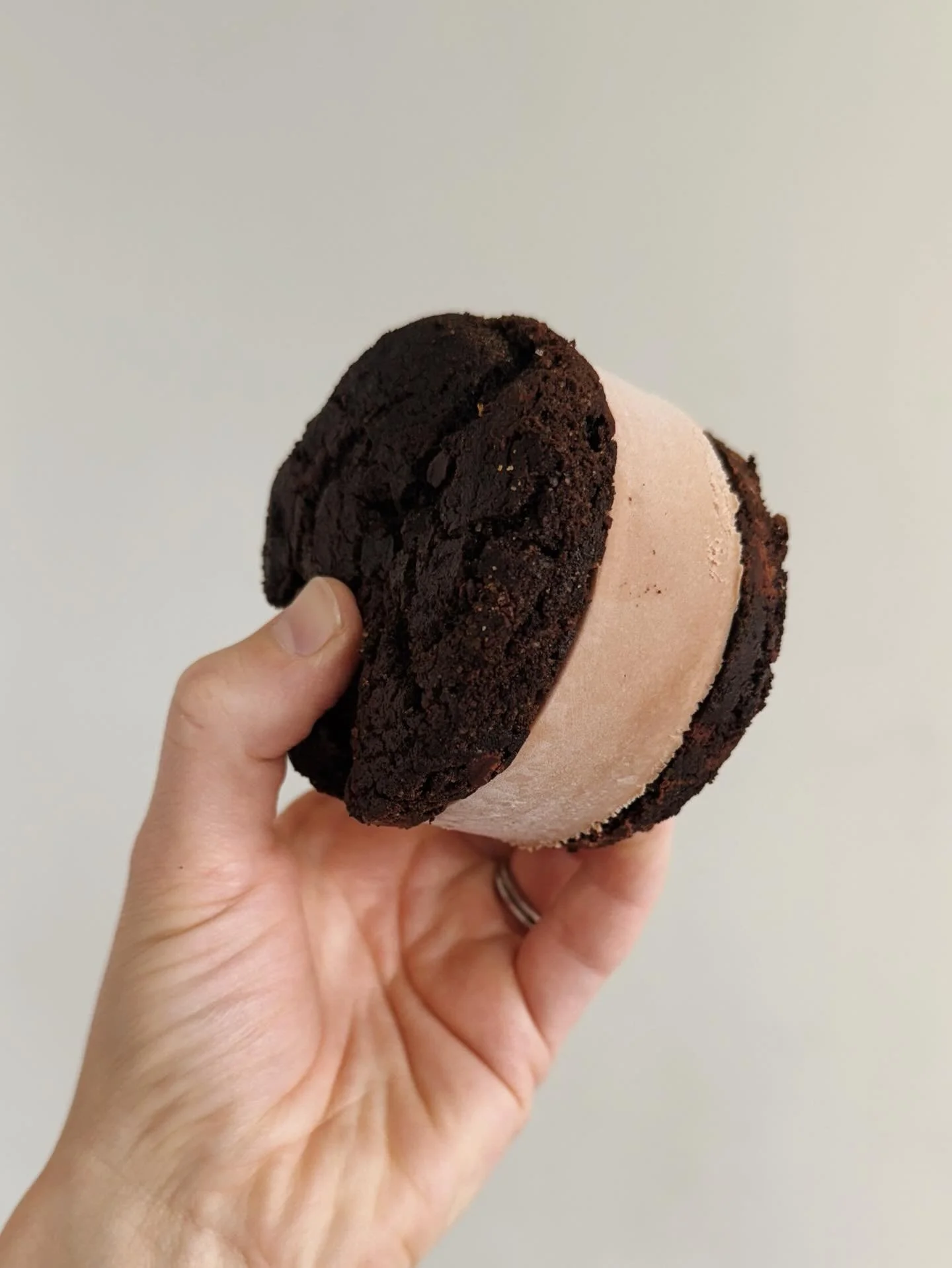 It&rsquo;s Easter Sunday, WE&rsquo;RE OPEN, and we have a new ice cream sandwich!!!

DOUBLE CHOCOLATE CHUNK COOKIE. It&rsquo;s a mouth full in two senses of the word! Our 5 Mile Chocolate ice cream sandwiched between two of our scratch made Double Ch