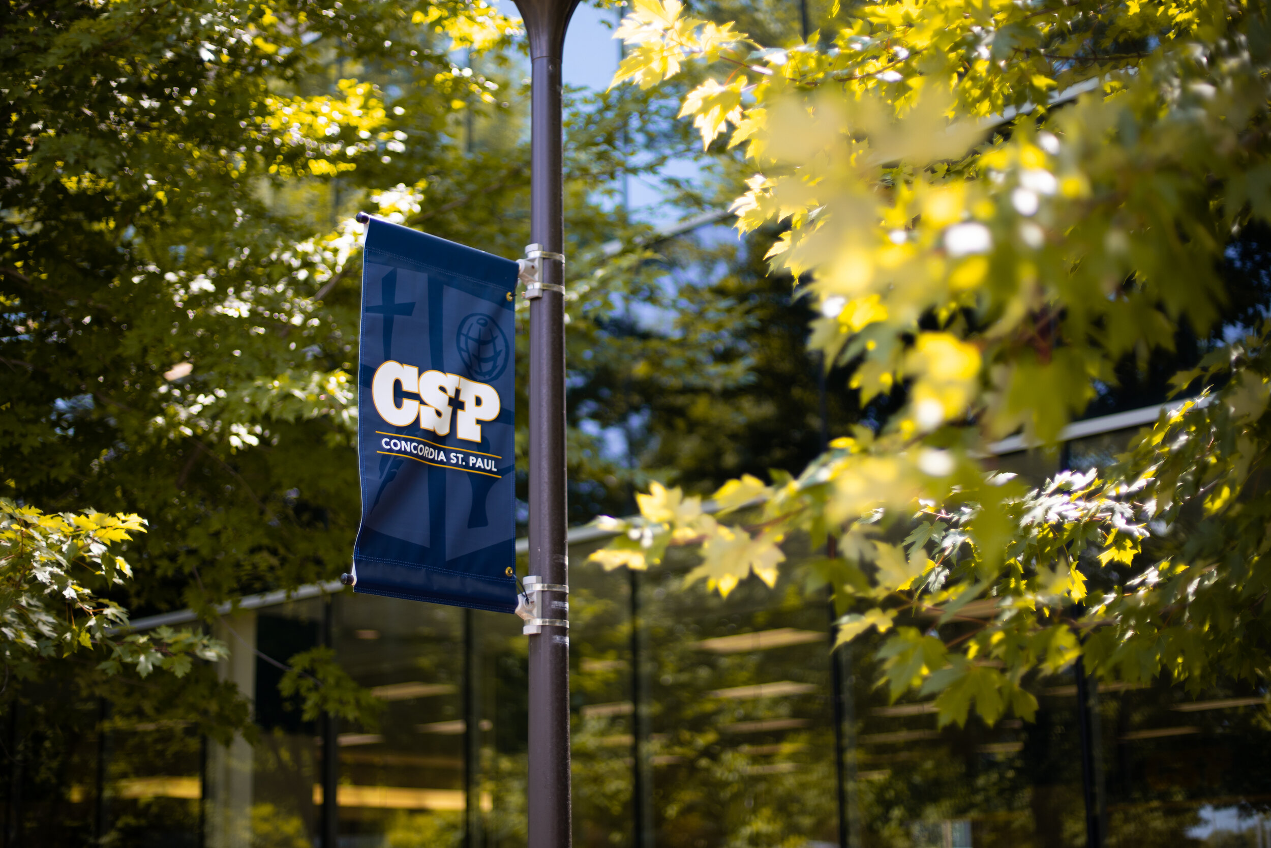 Csp Library About 2 — Tia Jade Design