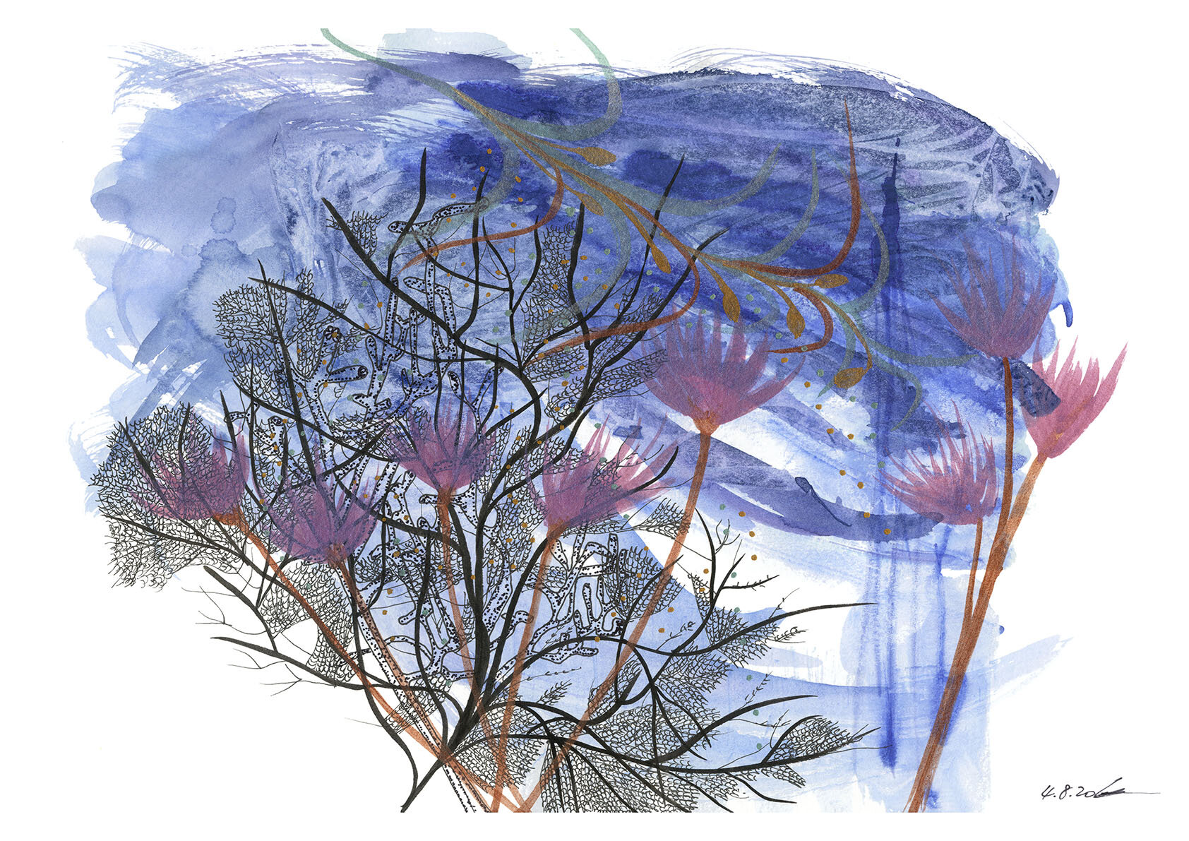 Coral Reef