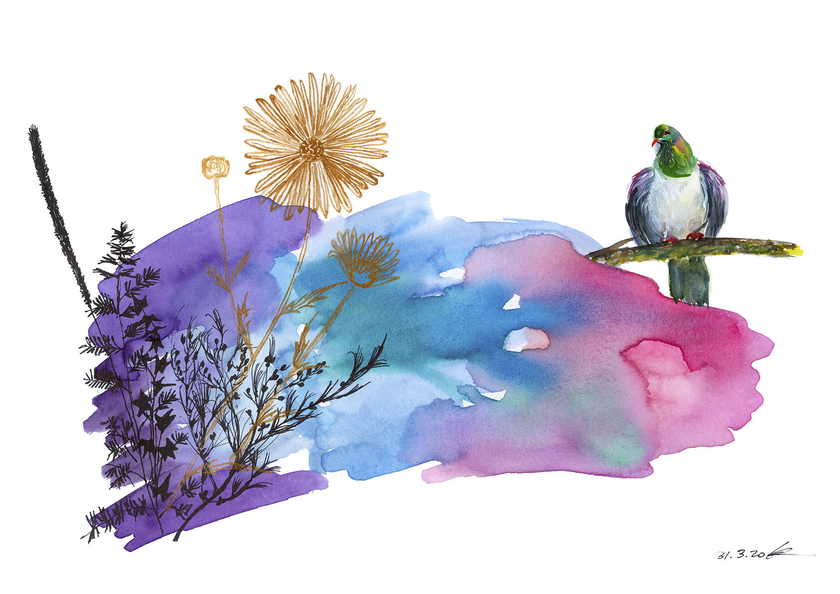 Kereru