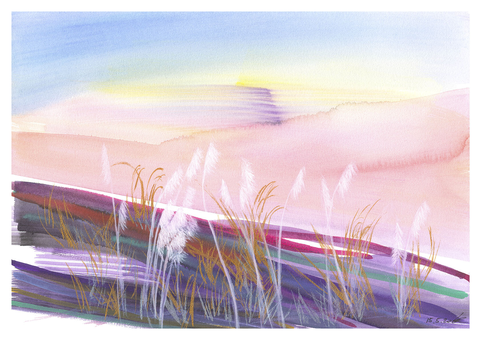 Toitoi Sunset