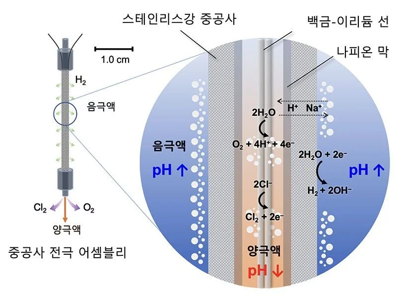 New Article on Electrochemical Ocean Carbon Removal