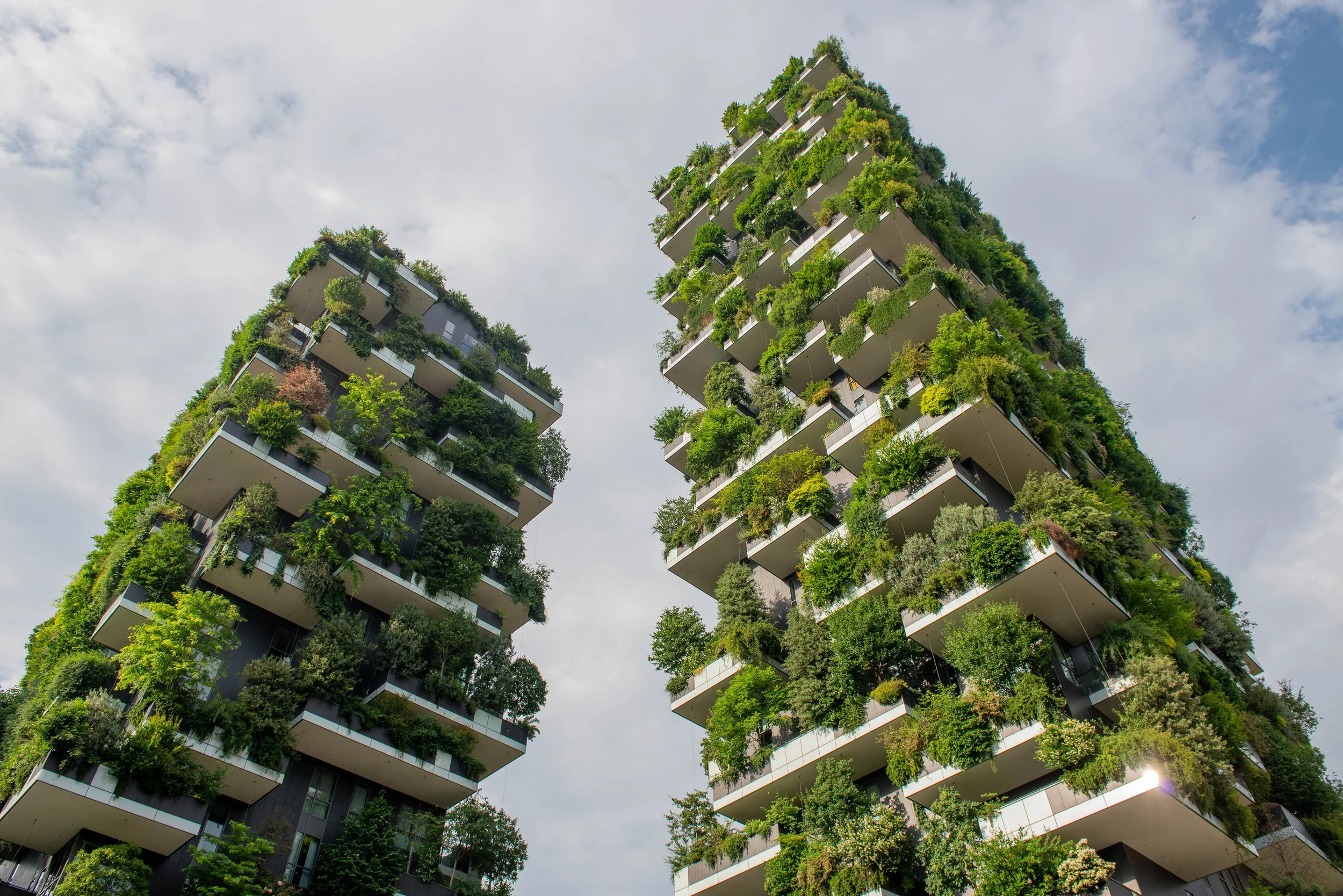 The beauty and benefits of living with nature - Build Magazine