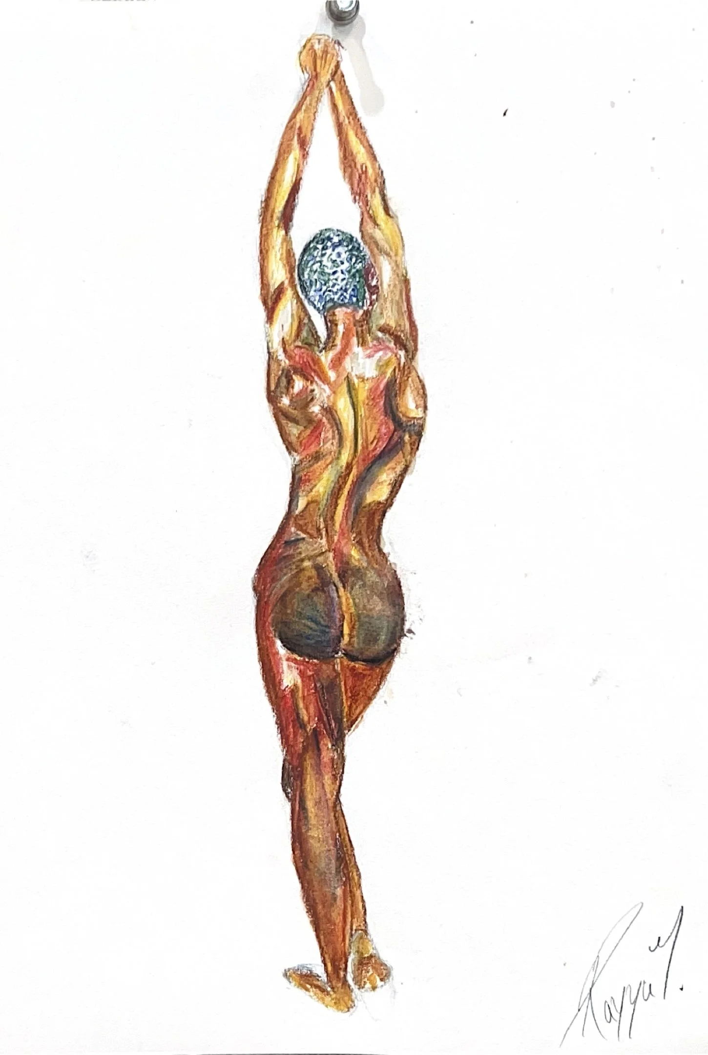 Medium: Color Pencil