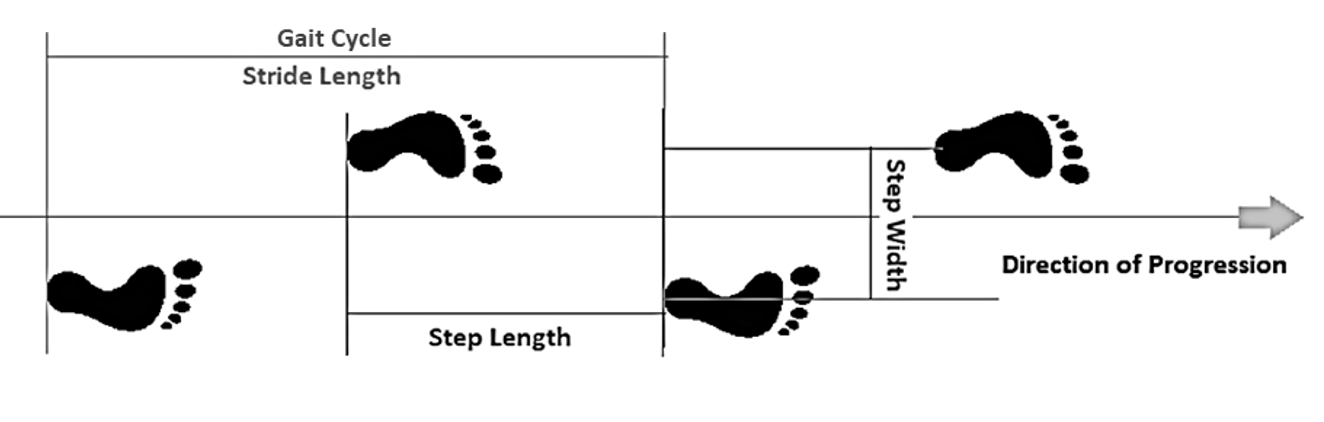 Diagram of gait cycle showing initial contact, stance phase, step length, stride length, and direction of progression with footprints.