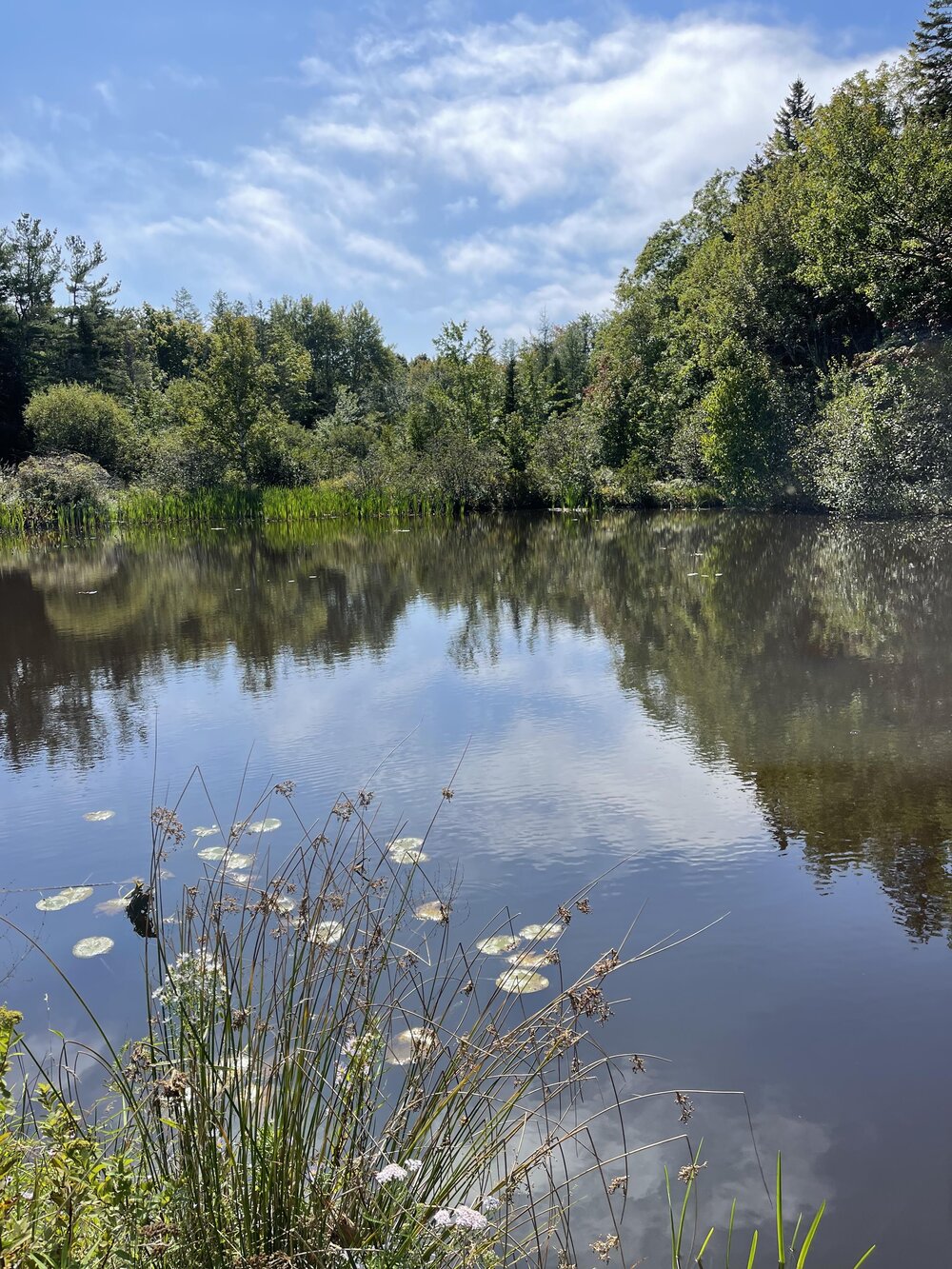 Pond Across from Gen Store - jpg.jpg