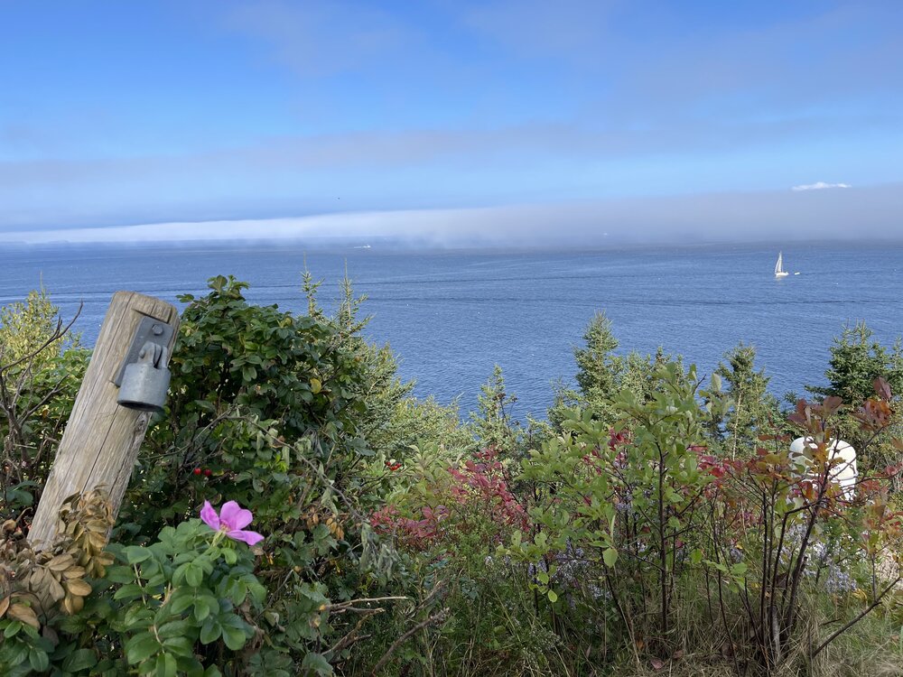 Owl's Head Lighthouse View from Lighthouse of Water & Sailboat - jpg.jpg