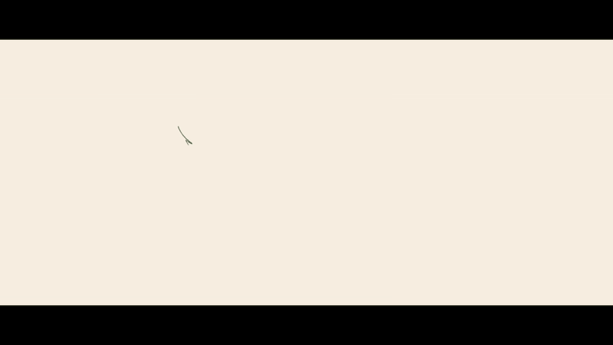 0c6c2f78102007.5c9b35b20a6ea.gif