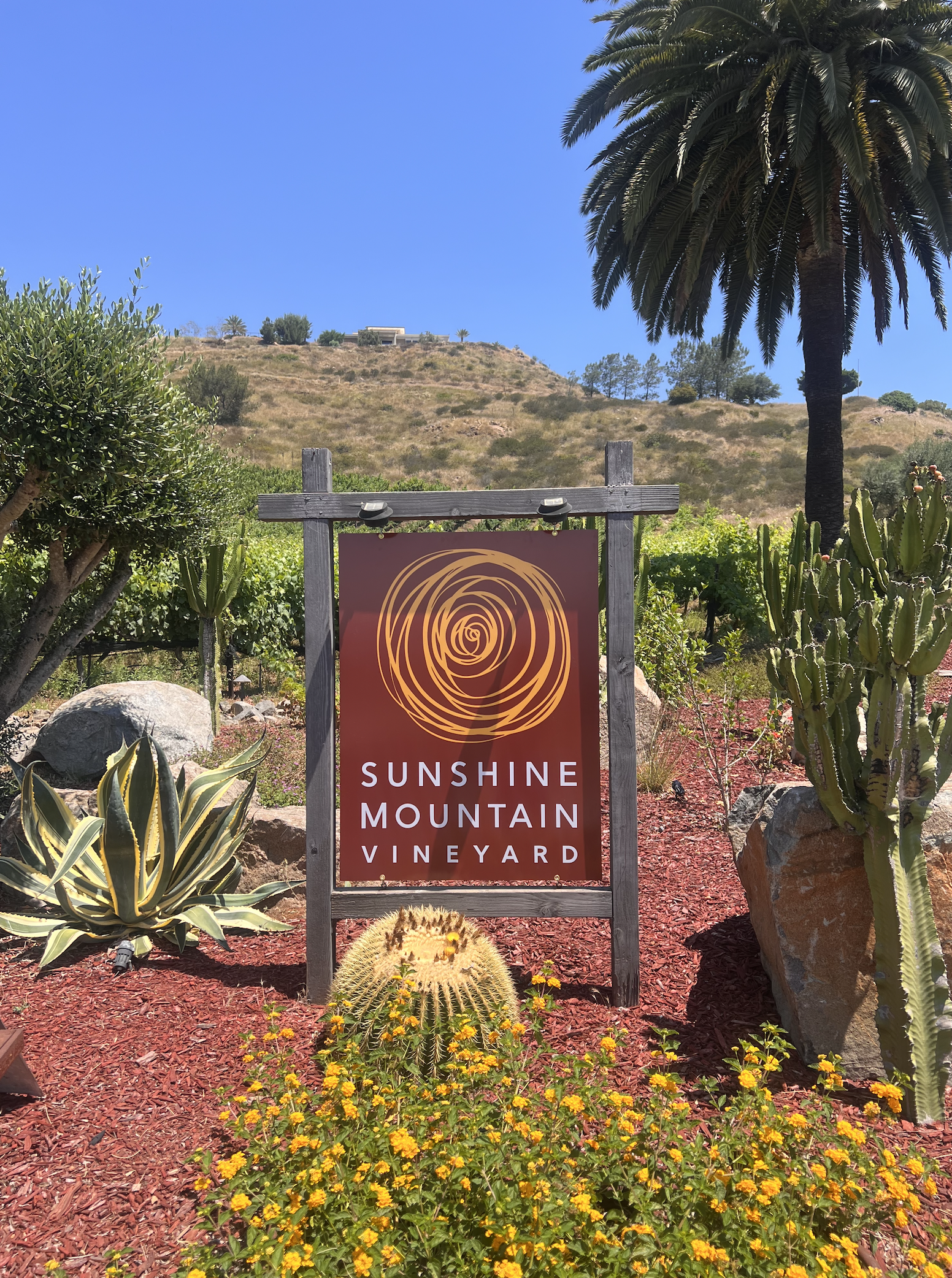 Screen Shot 2024-07-31 at 3.54.41 PM.png