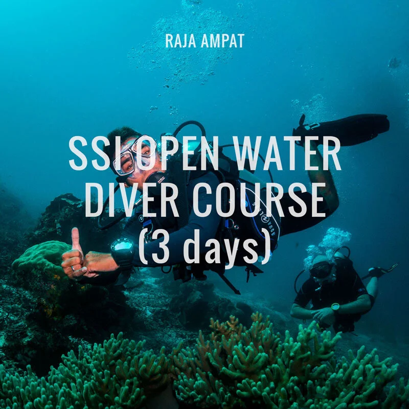 Scuba-Republic-Raja-Ampat-Dive-Courses-1.jpg