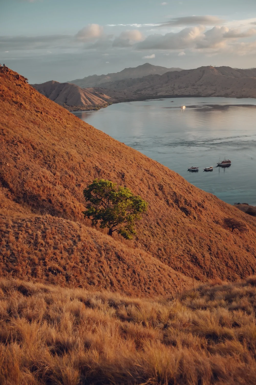view-komodo-national-park.webp