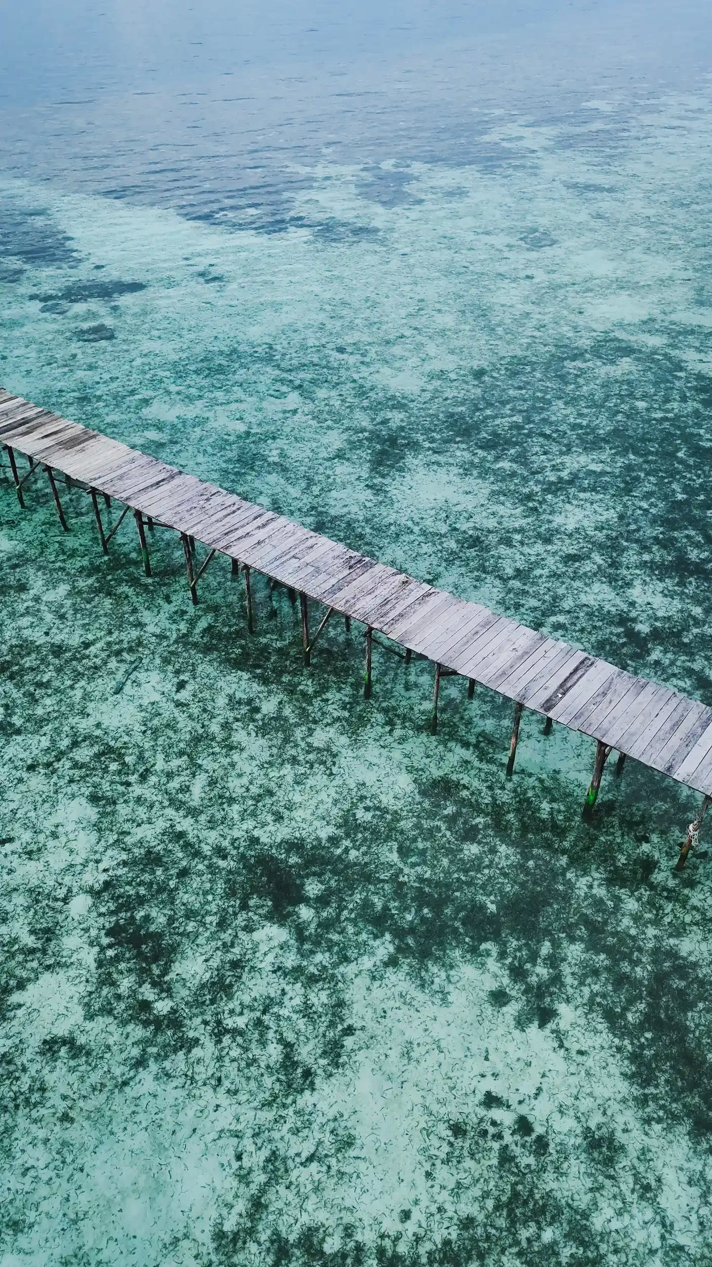Aerial view of a long wooden pier extending over clear, shallow ocean water with visible seaweed and the ocean floor.