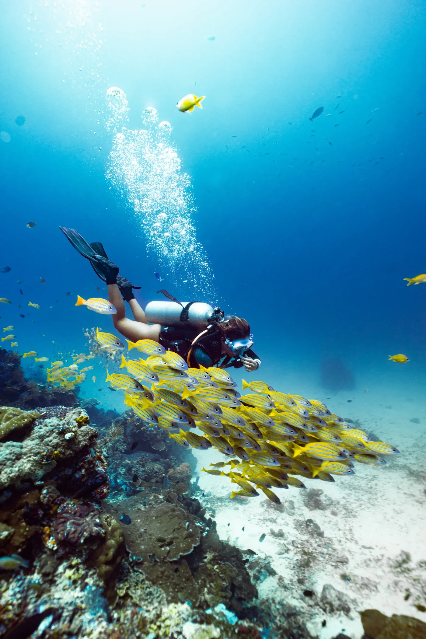 Komodo_Diving_female.webp