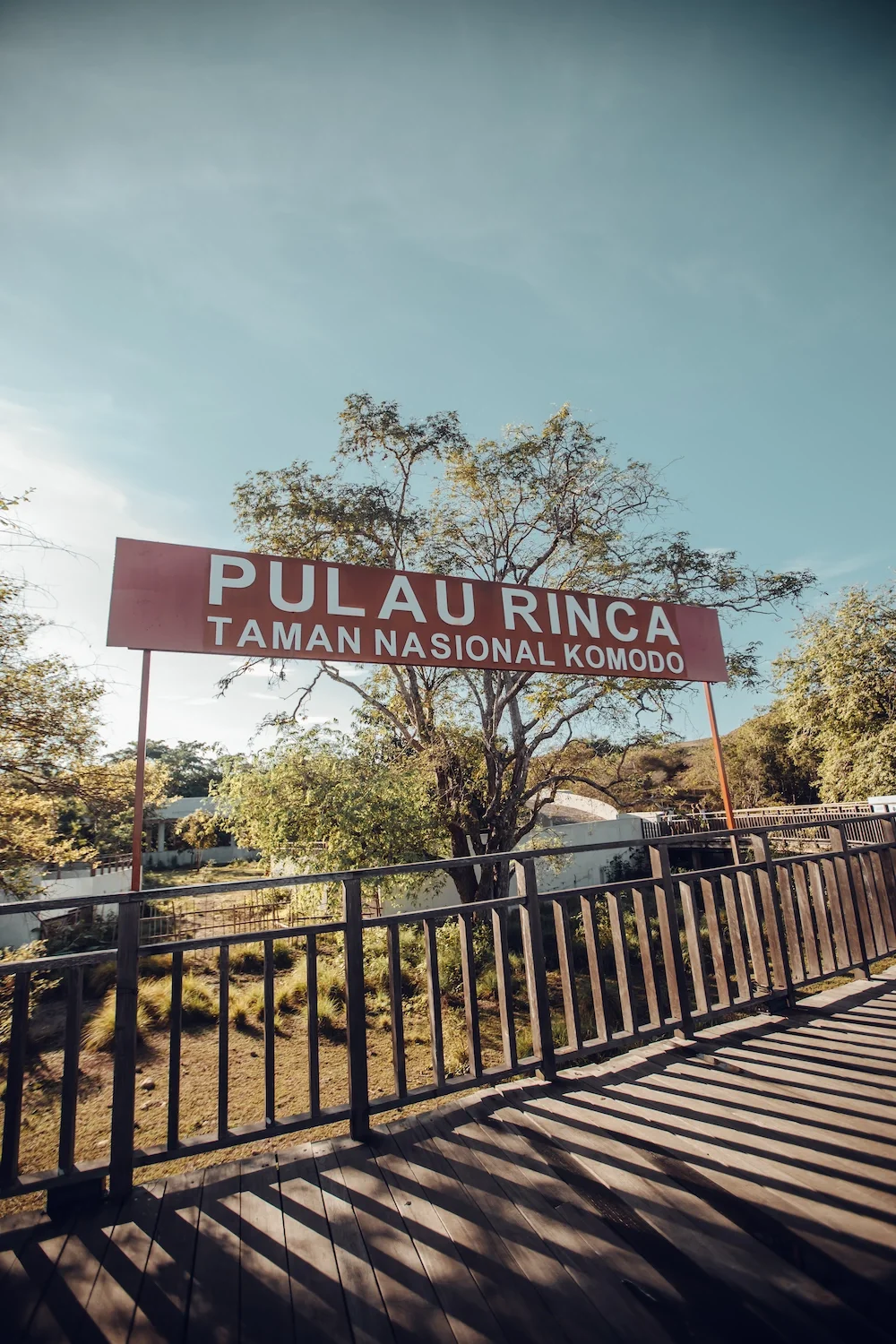 DV0A2804-8 copy.webp