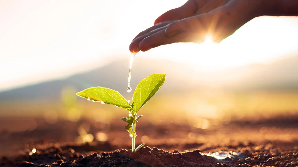 Maharishi-Vedic-Organic-Ag-image-63.jpeg