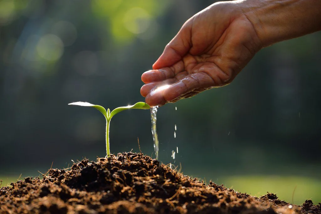Consciousness, Food, Physiology & the Environment